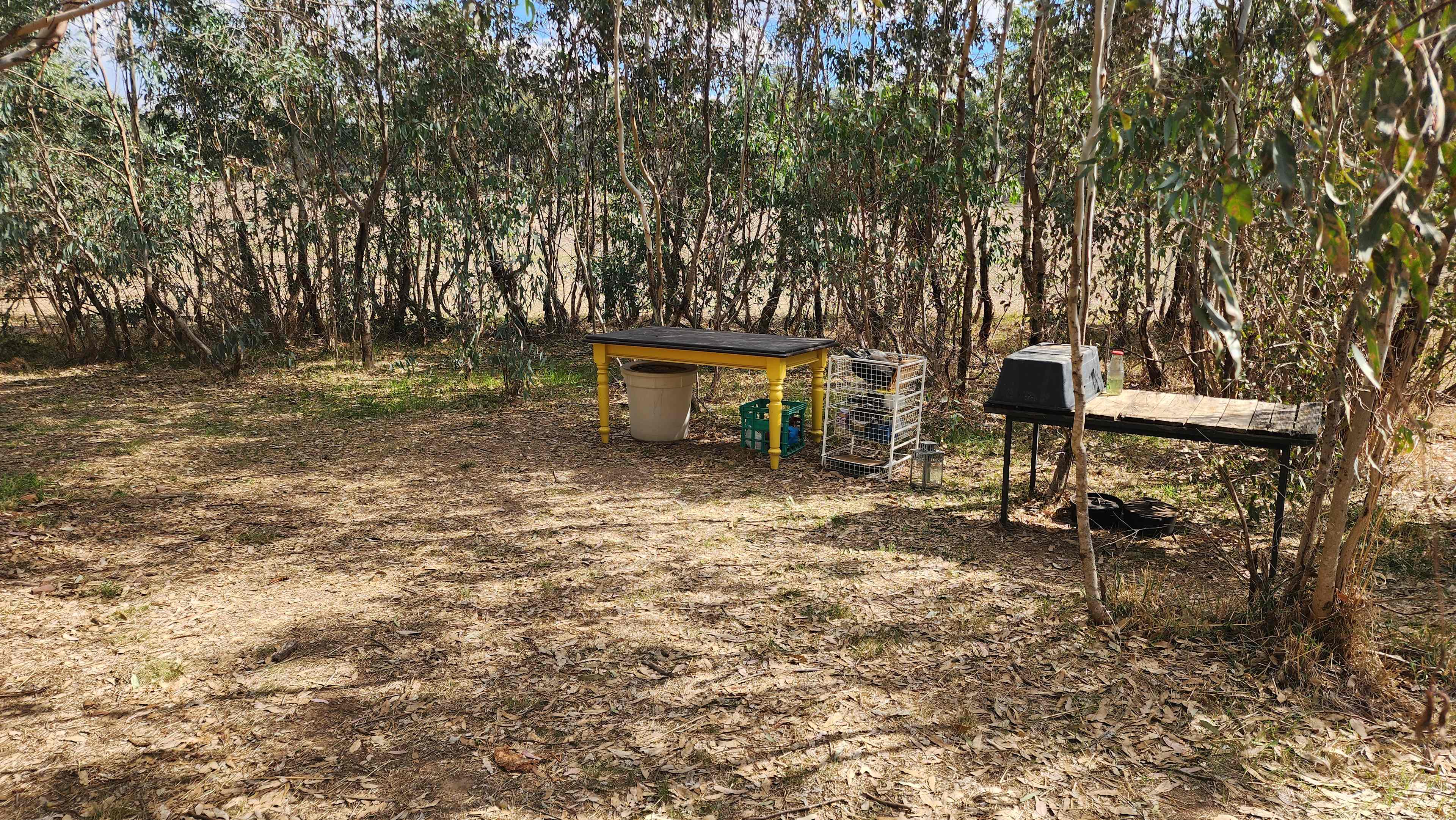 Peaceful Paddock - Castlemaine