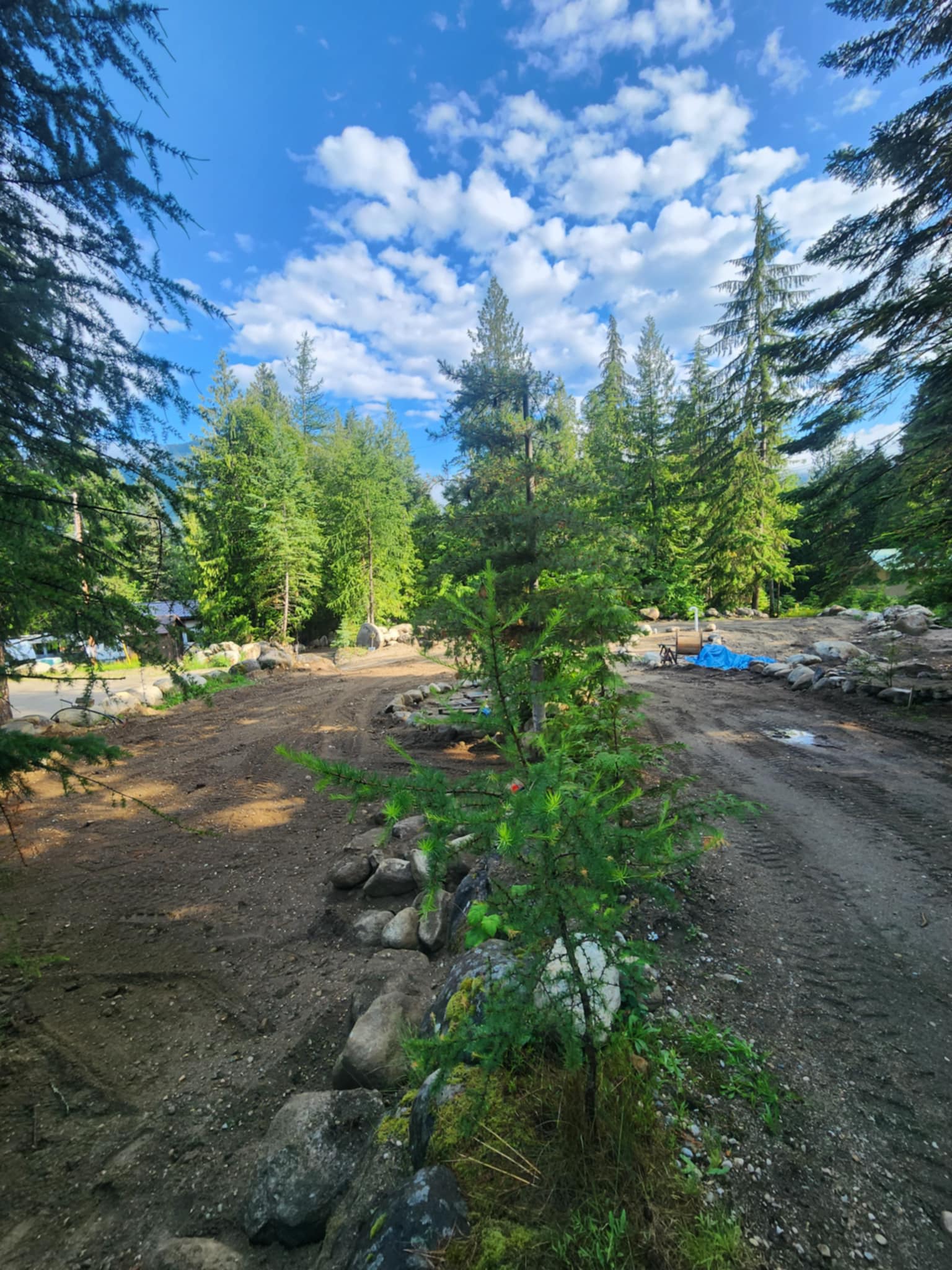 Picture of the site