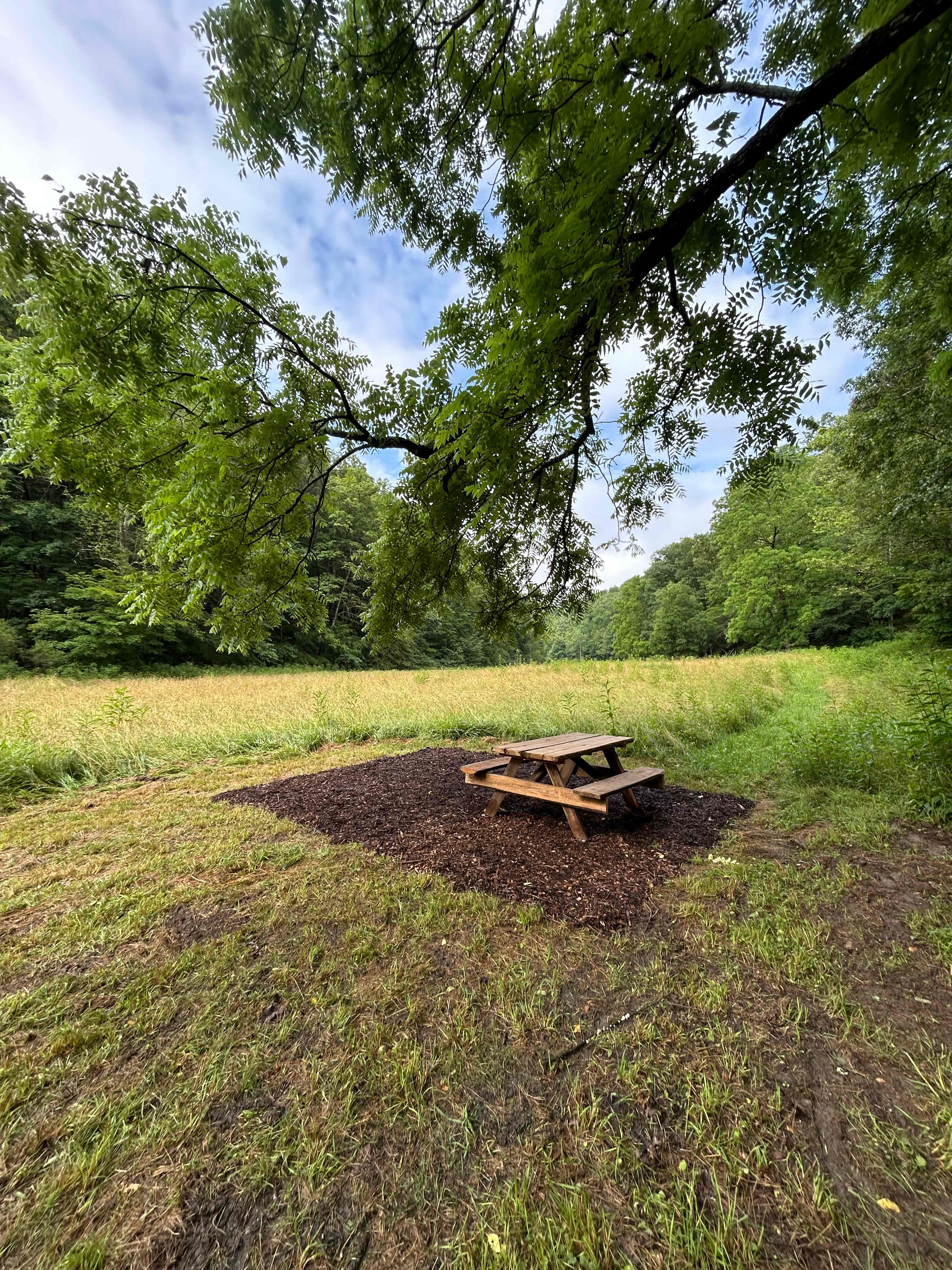 Our Piece Of Dirt