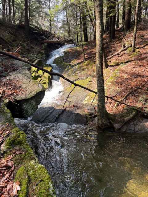 Fuller Acres Farmstay