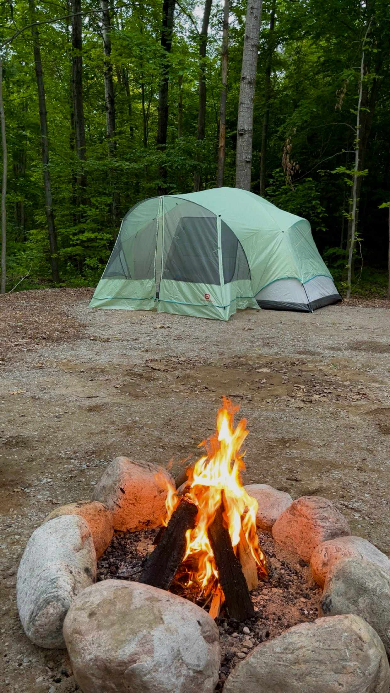 Picture of the site