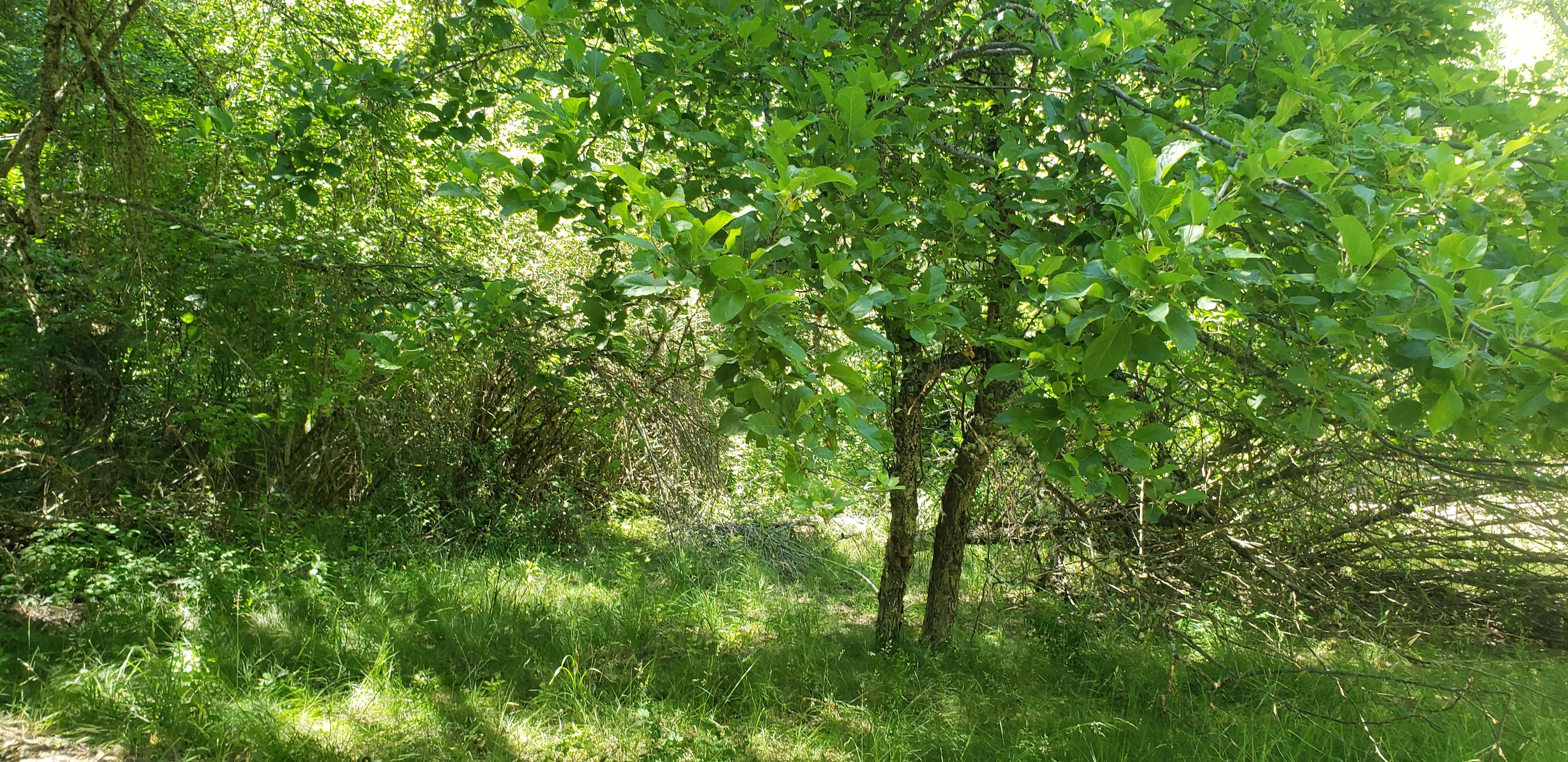 Weiland Forage and Farm