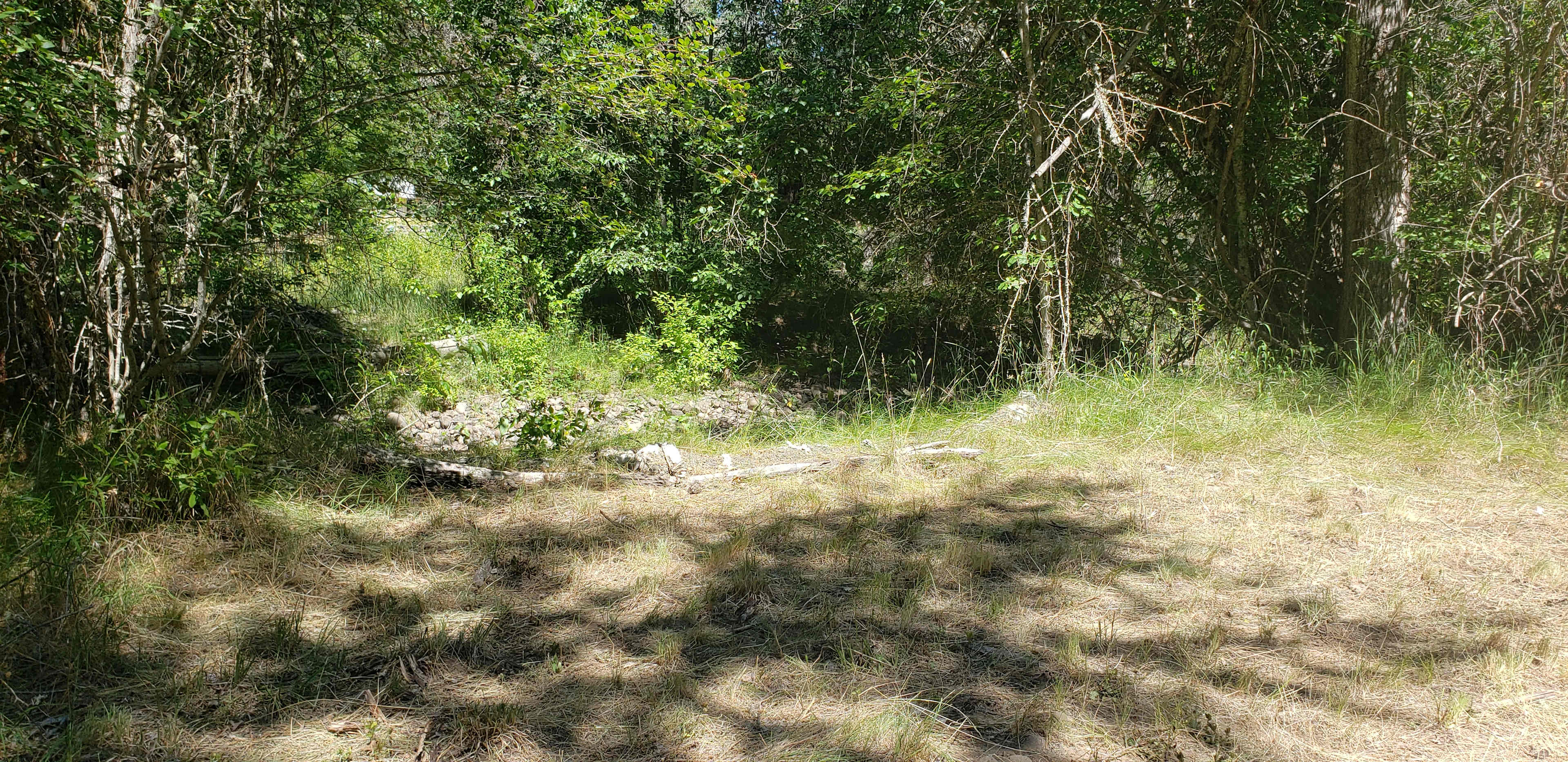 Weiland Forage and Farm