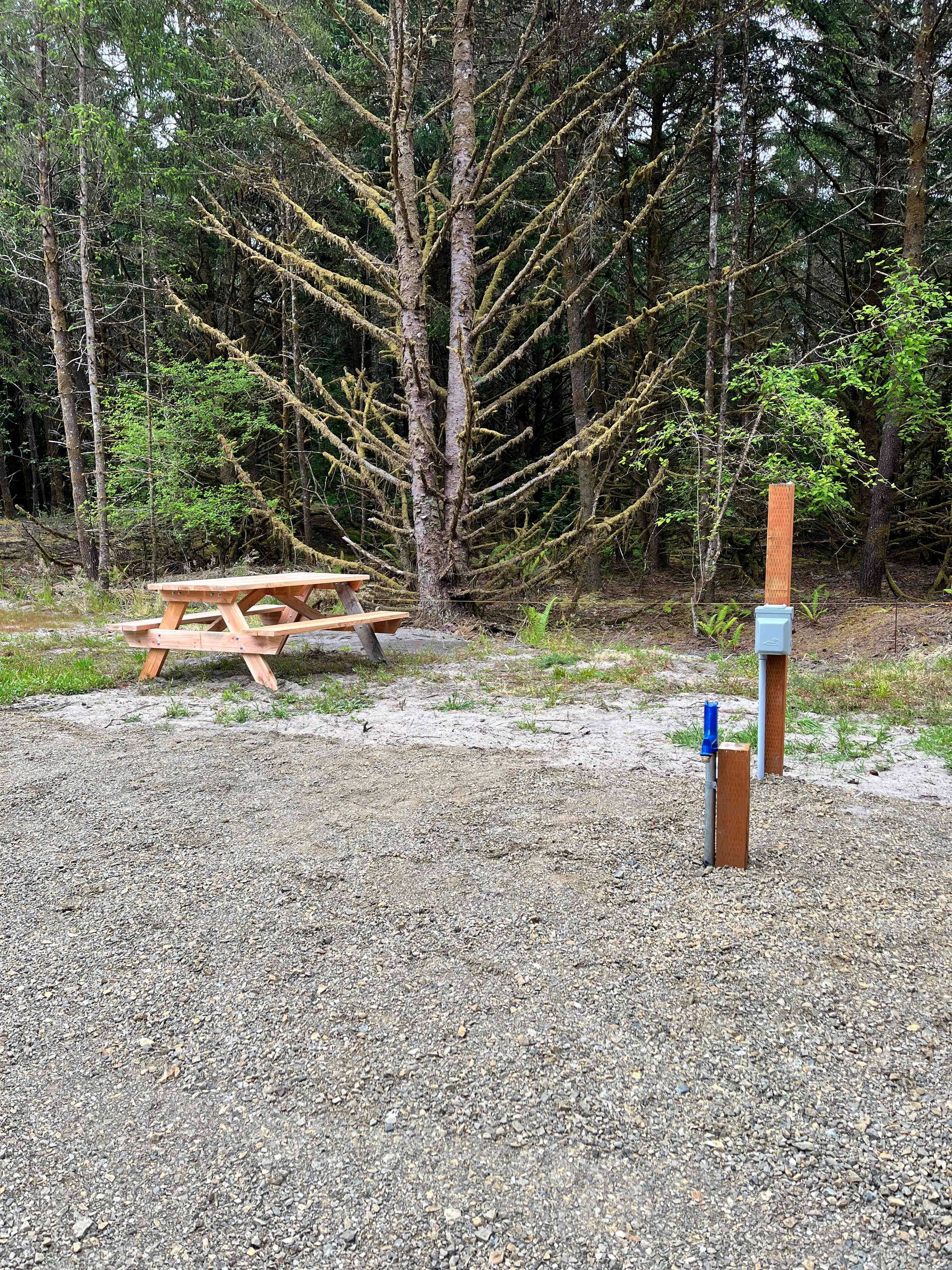 Spacious RV Spot- Close To Town!