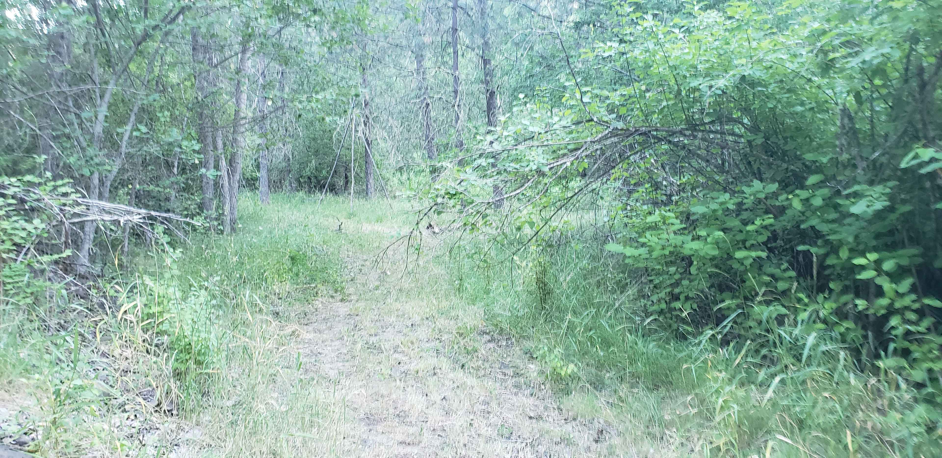 Weiland Forage and Farm