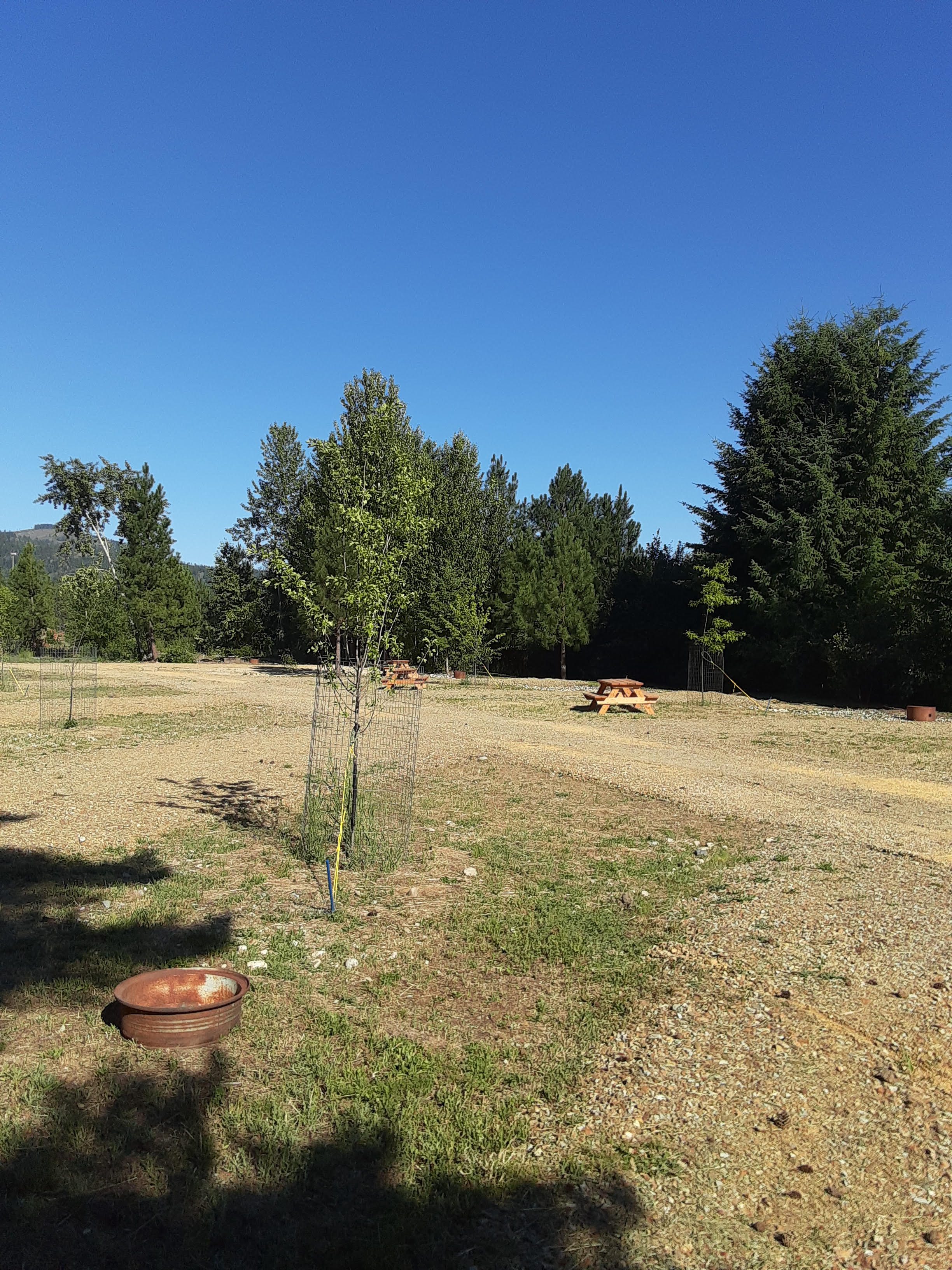 Mill Pond Camp Sites