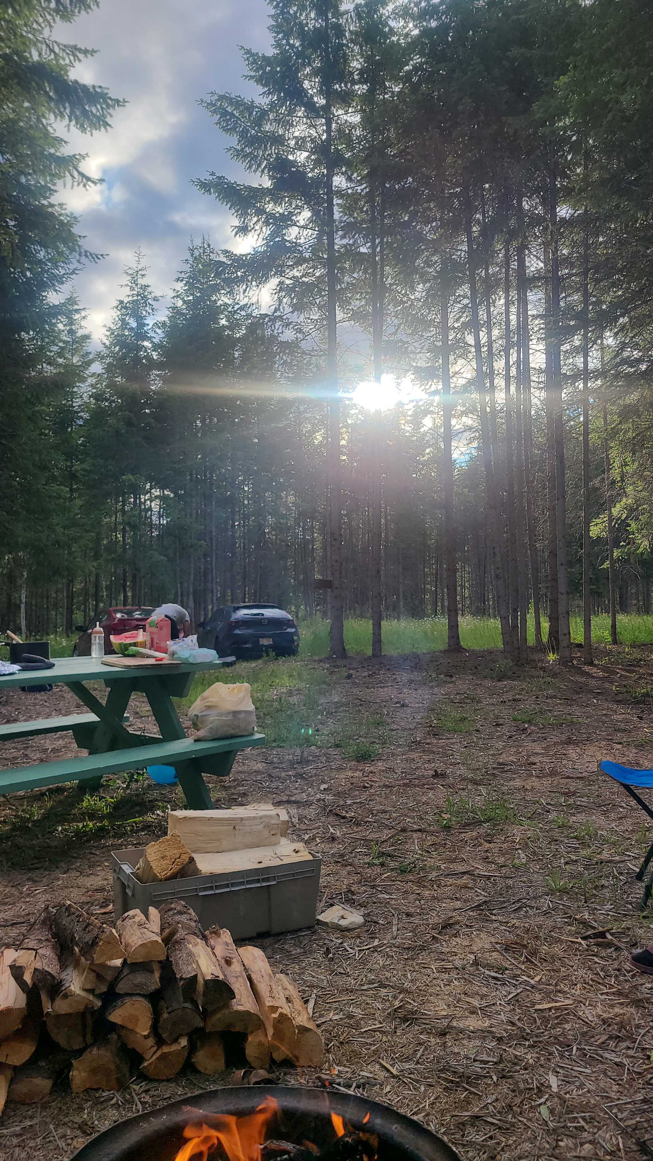 Picture of the site
