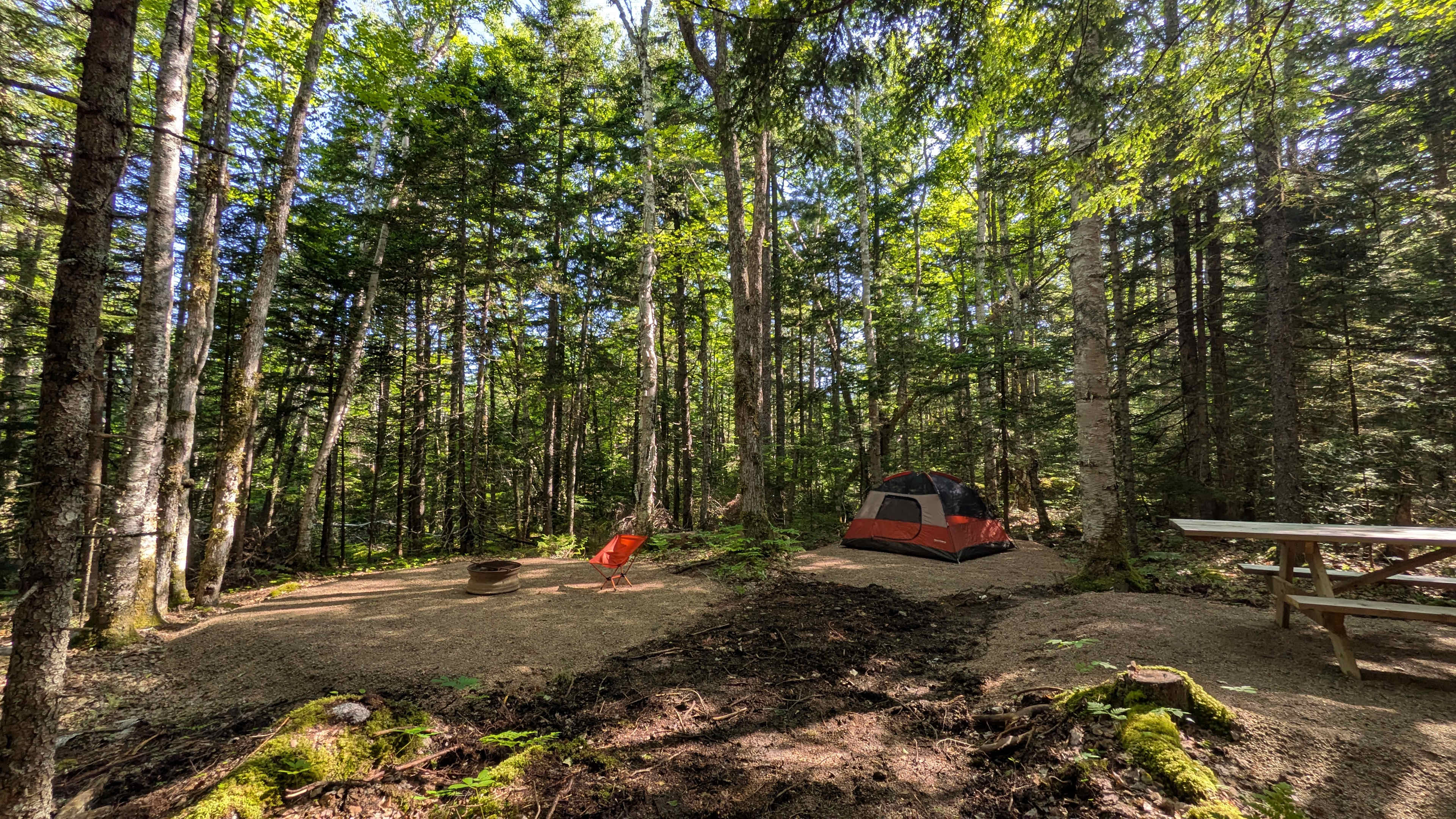Picture of the site