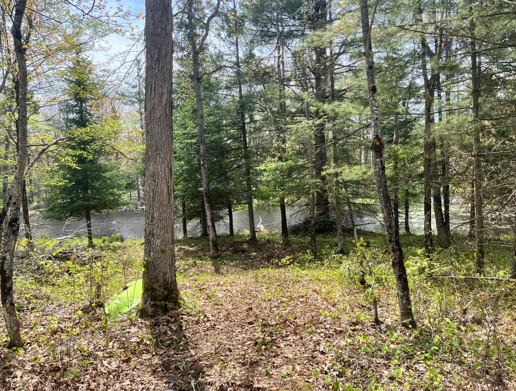 Picture of the site