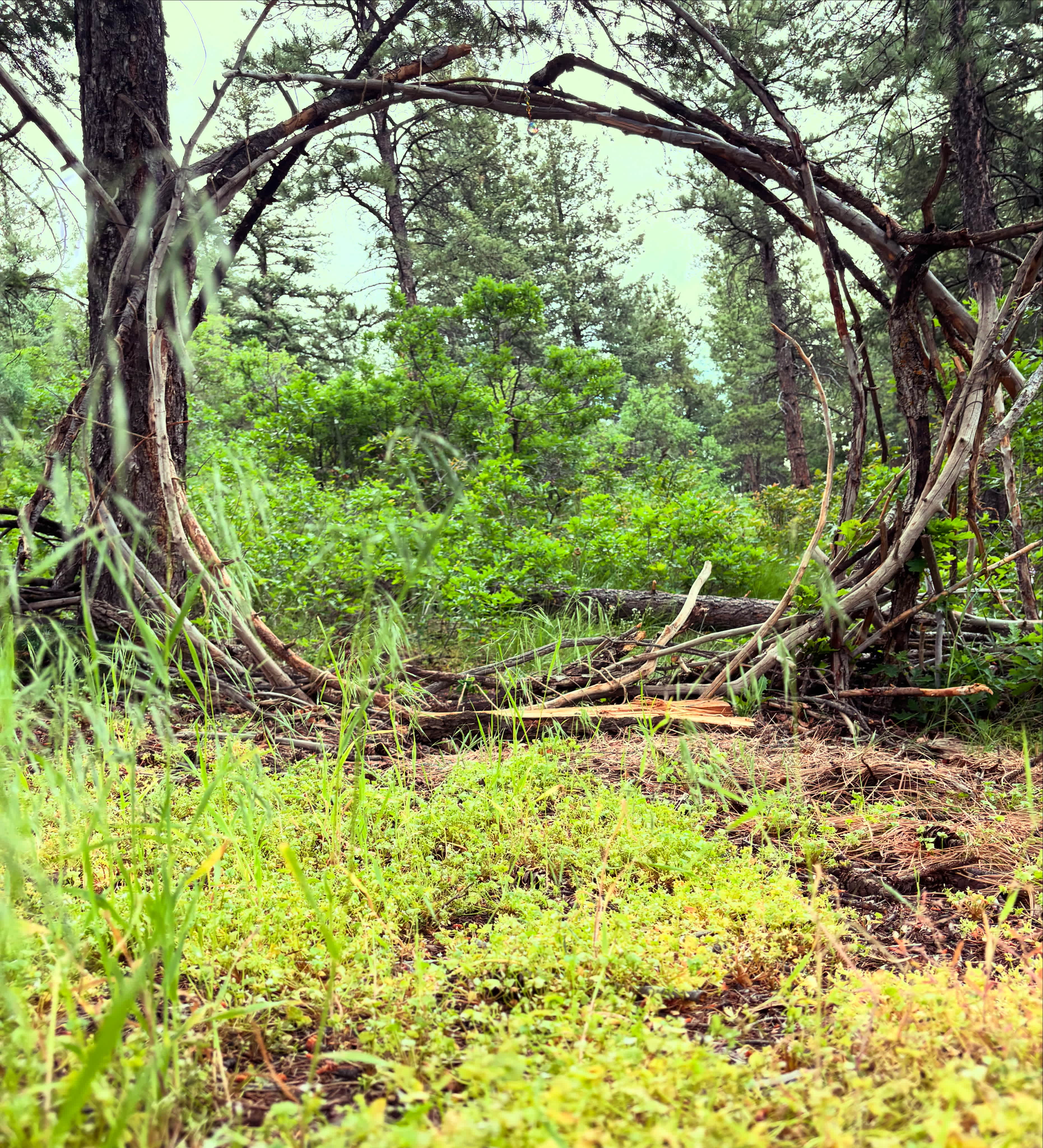 Willow Wisp Hideaway