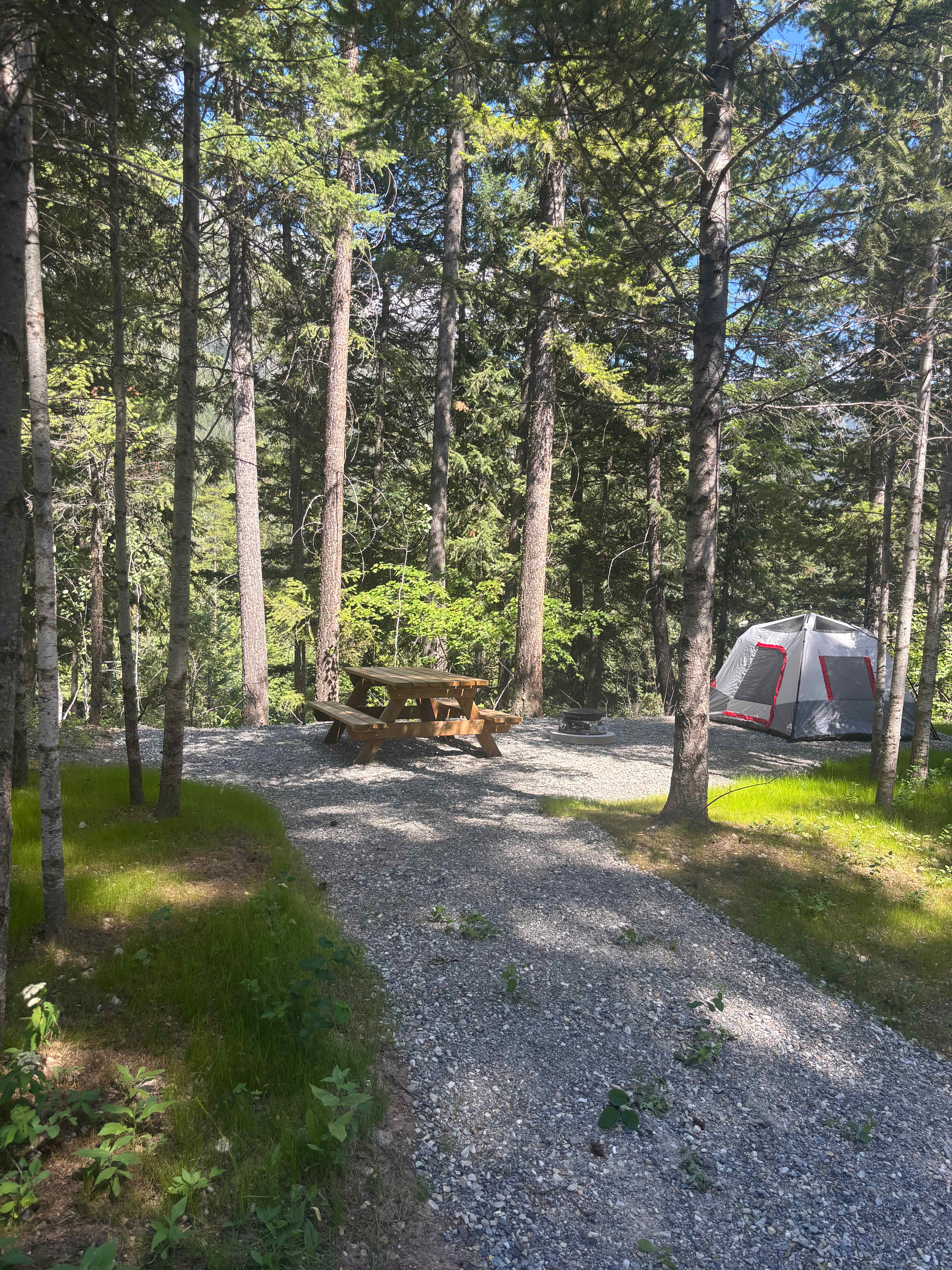 Hospital Creek Hideout
