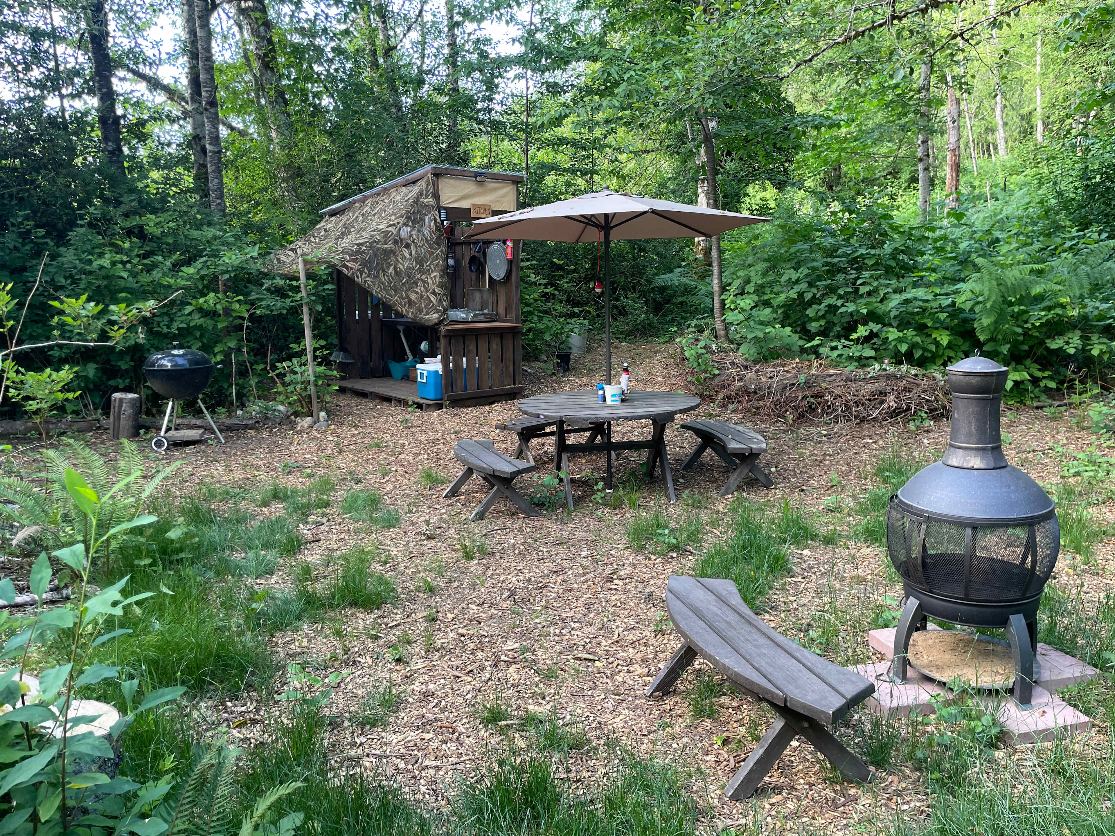 Picture of the site