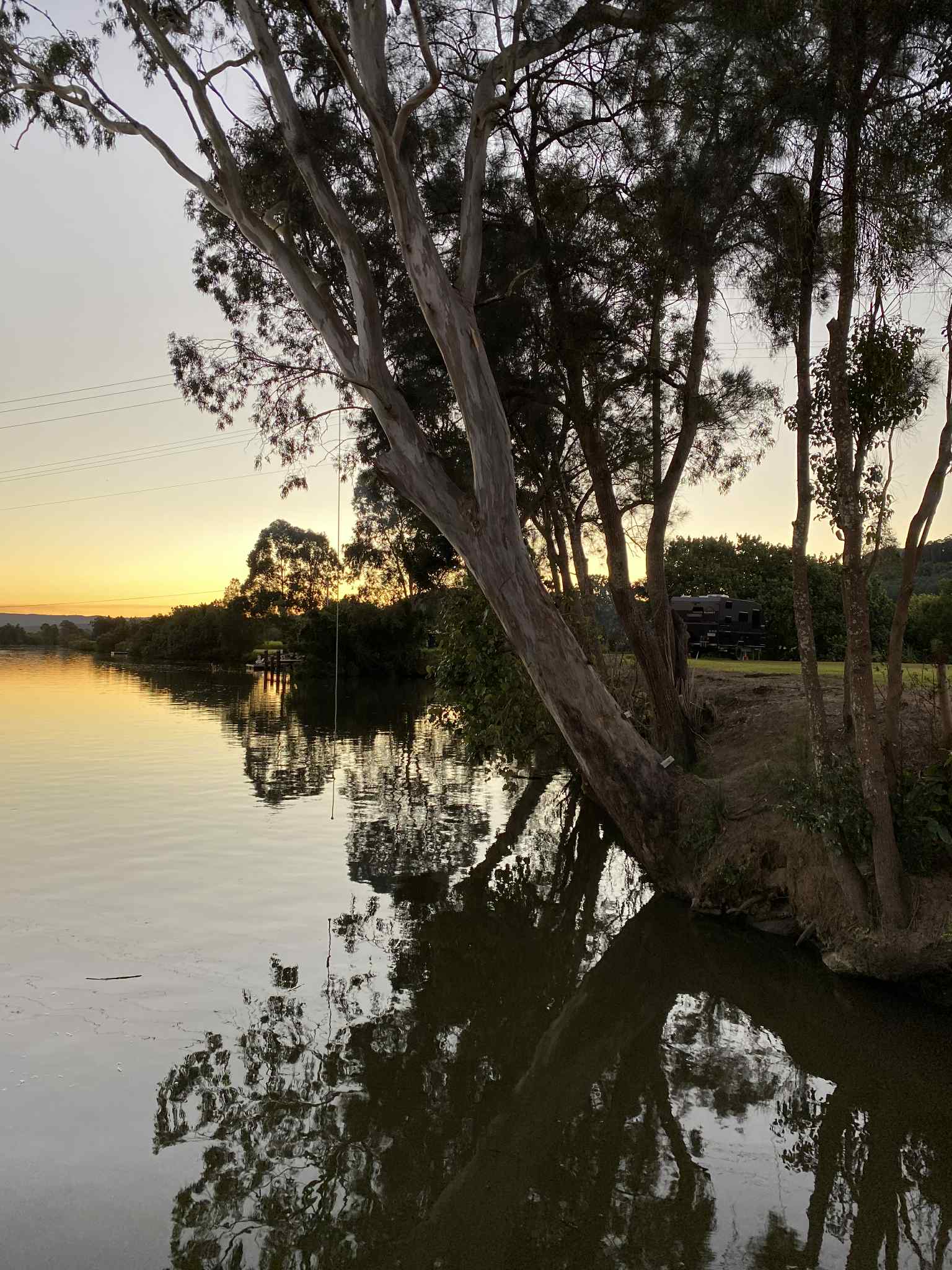 River Oasis