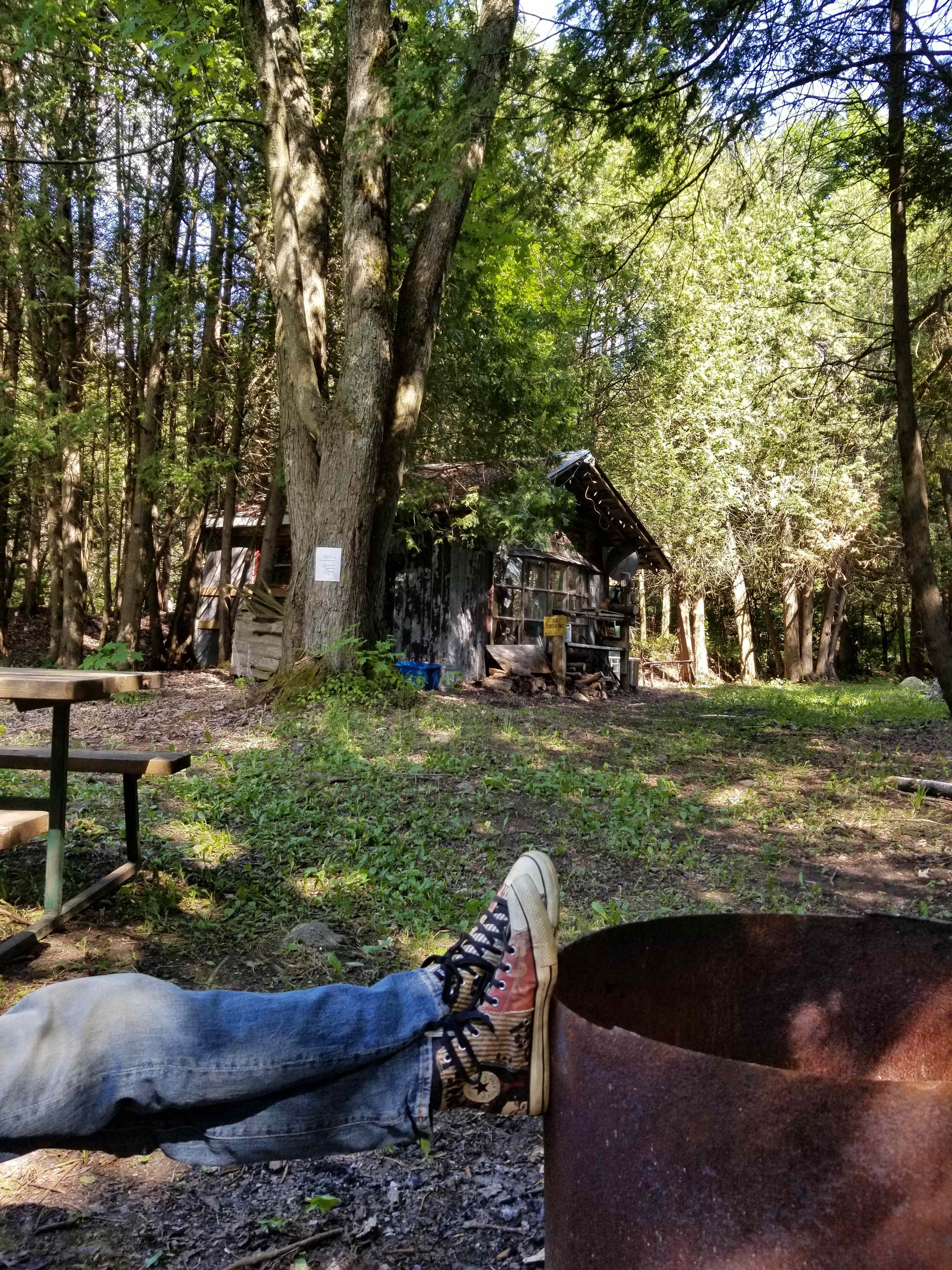 Picture of the site