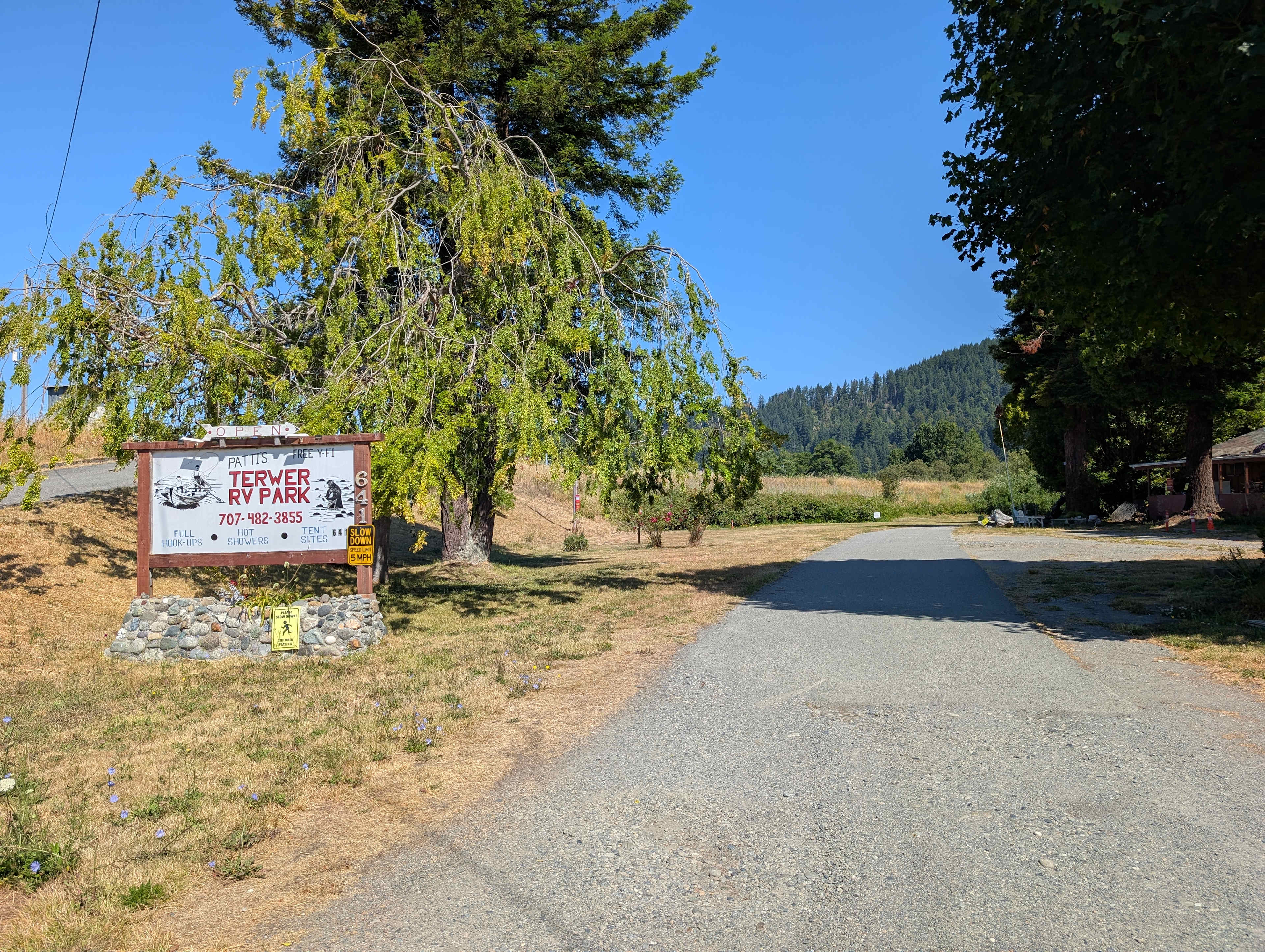Picture of the site