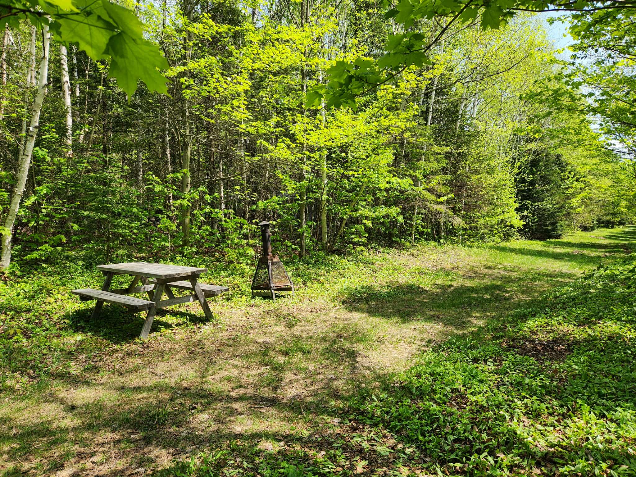 Picture of the site