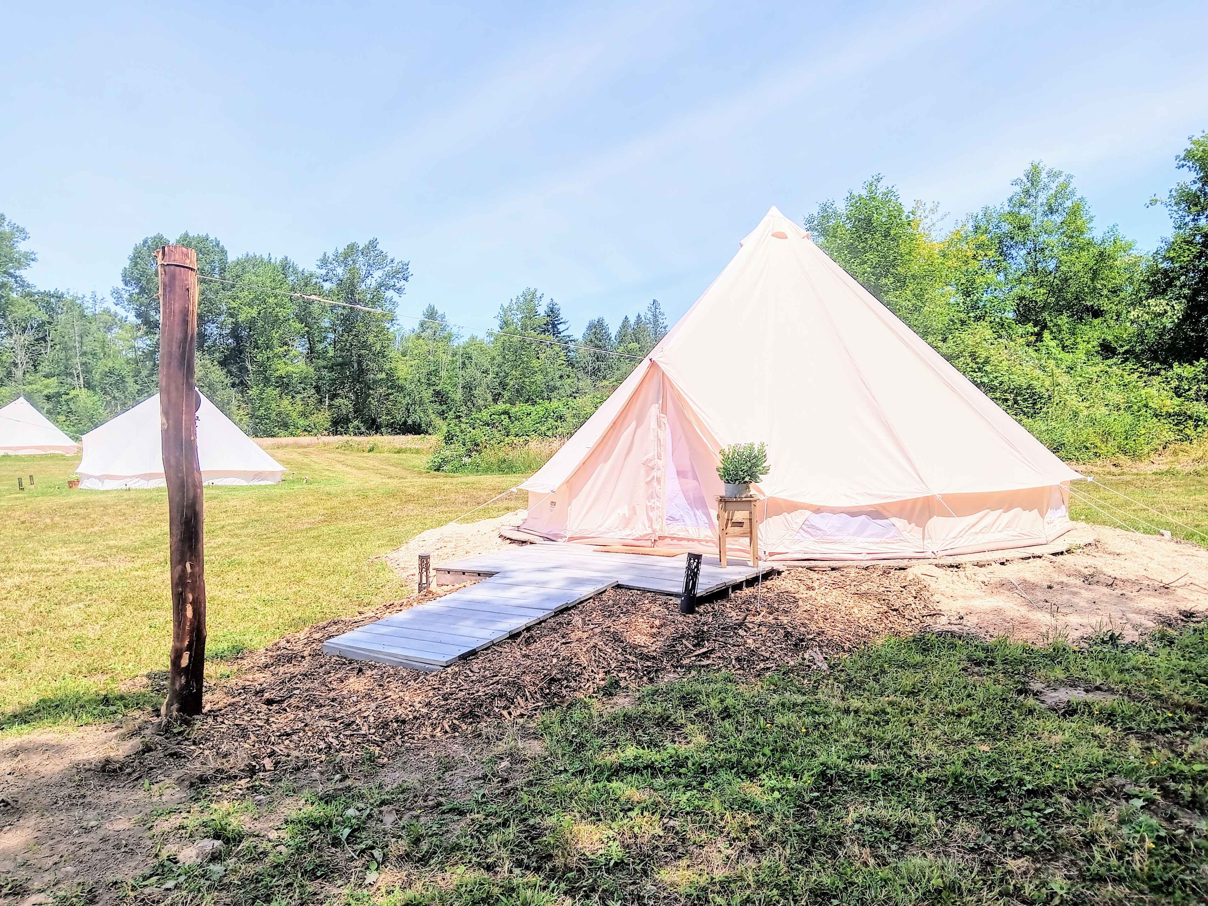 Picture of the site