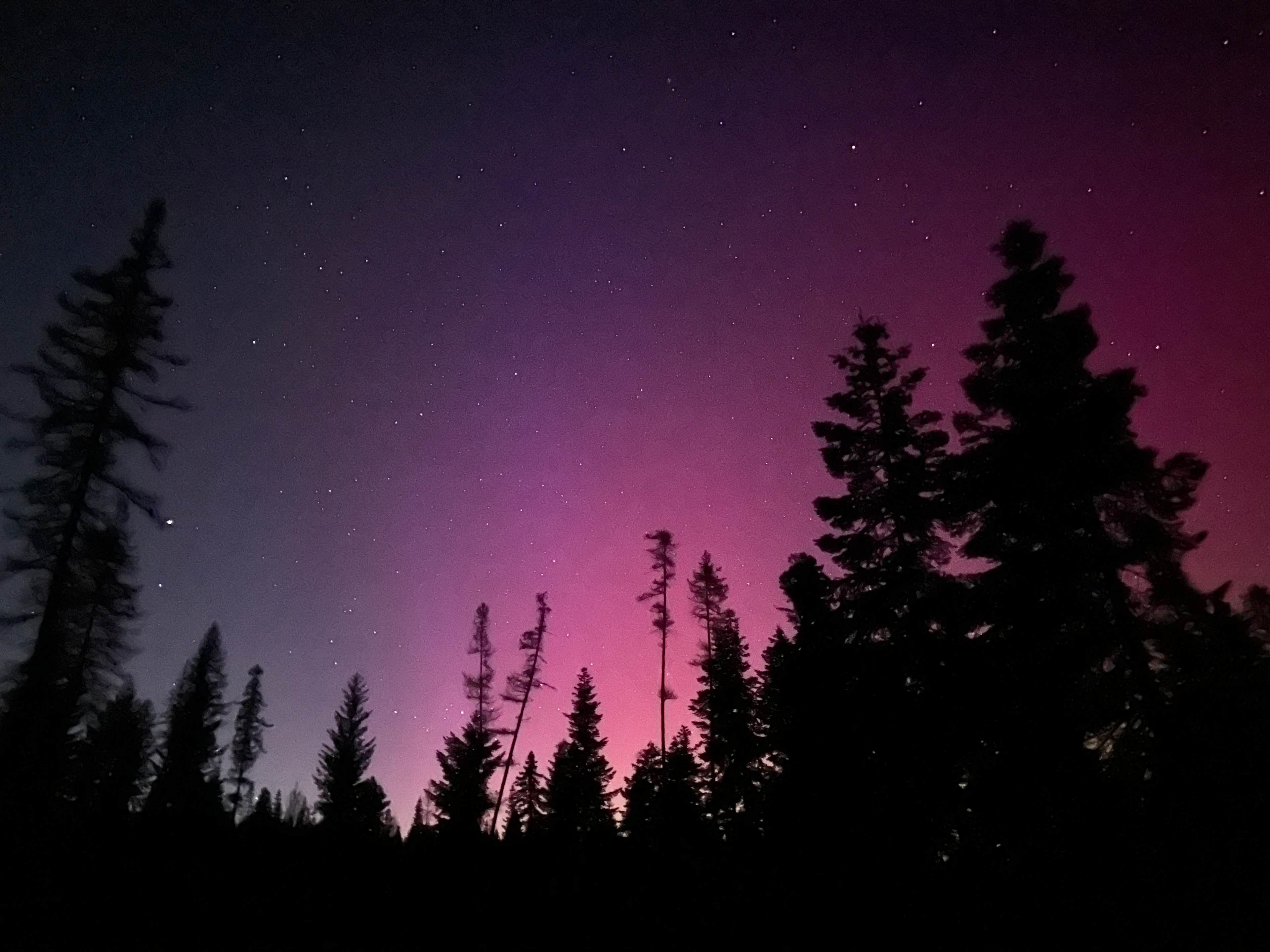 Tamarack Ridge