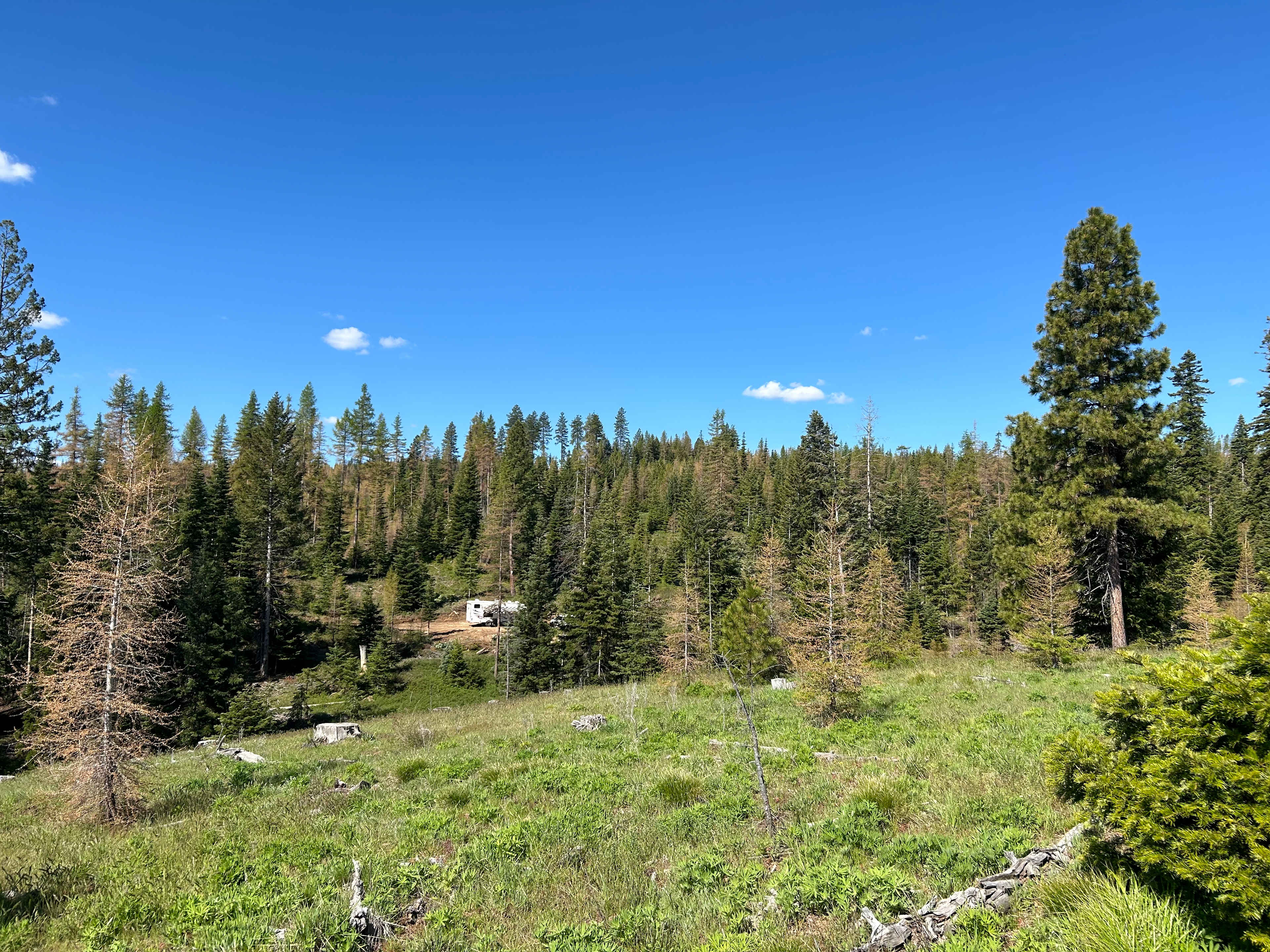 Tamarack Ridge