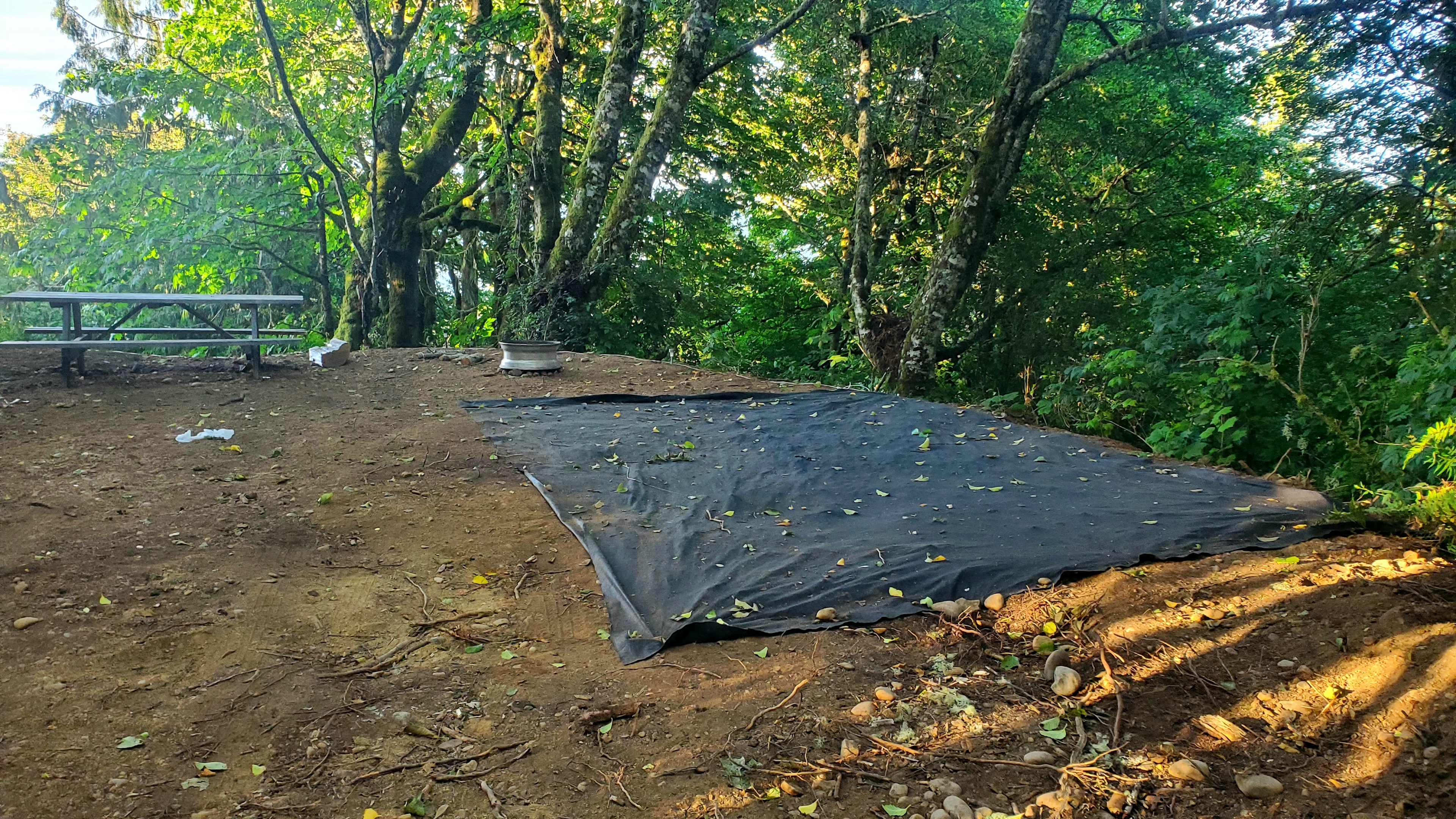 Picture of the site