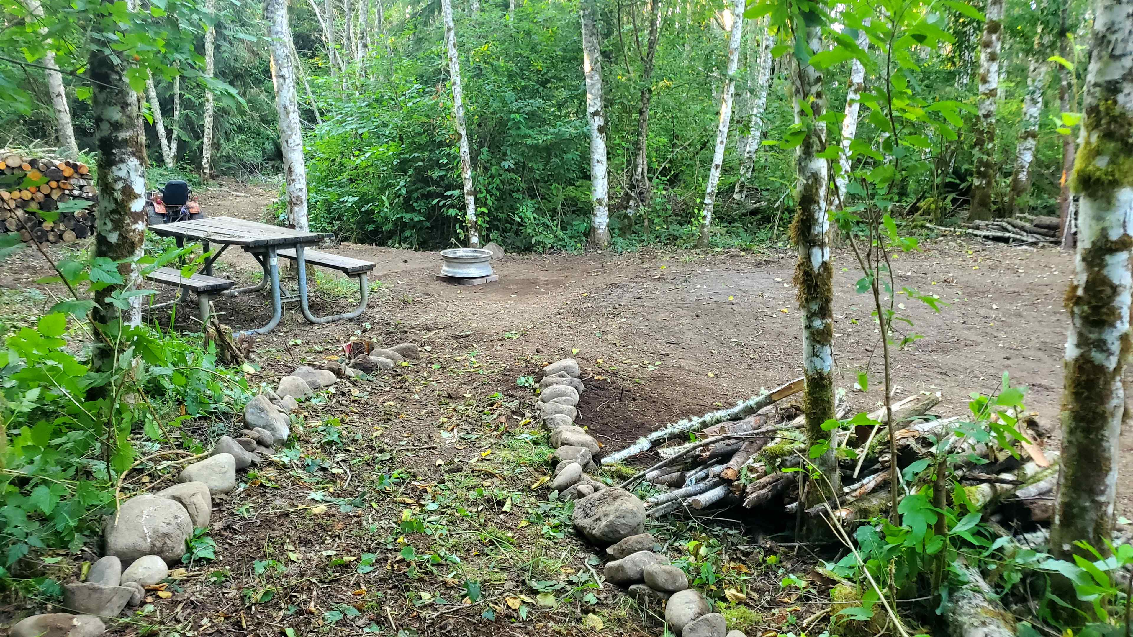 Picture of the site