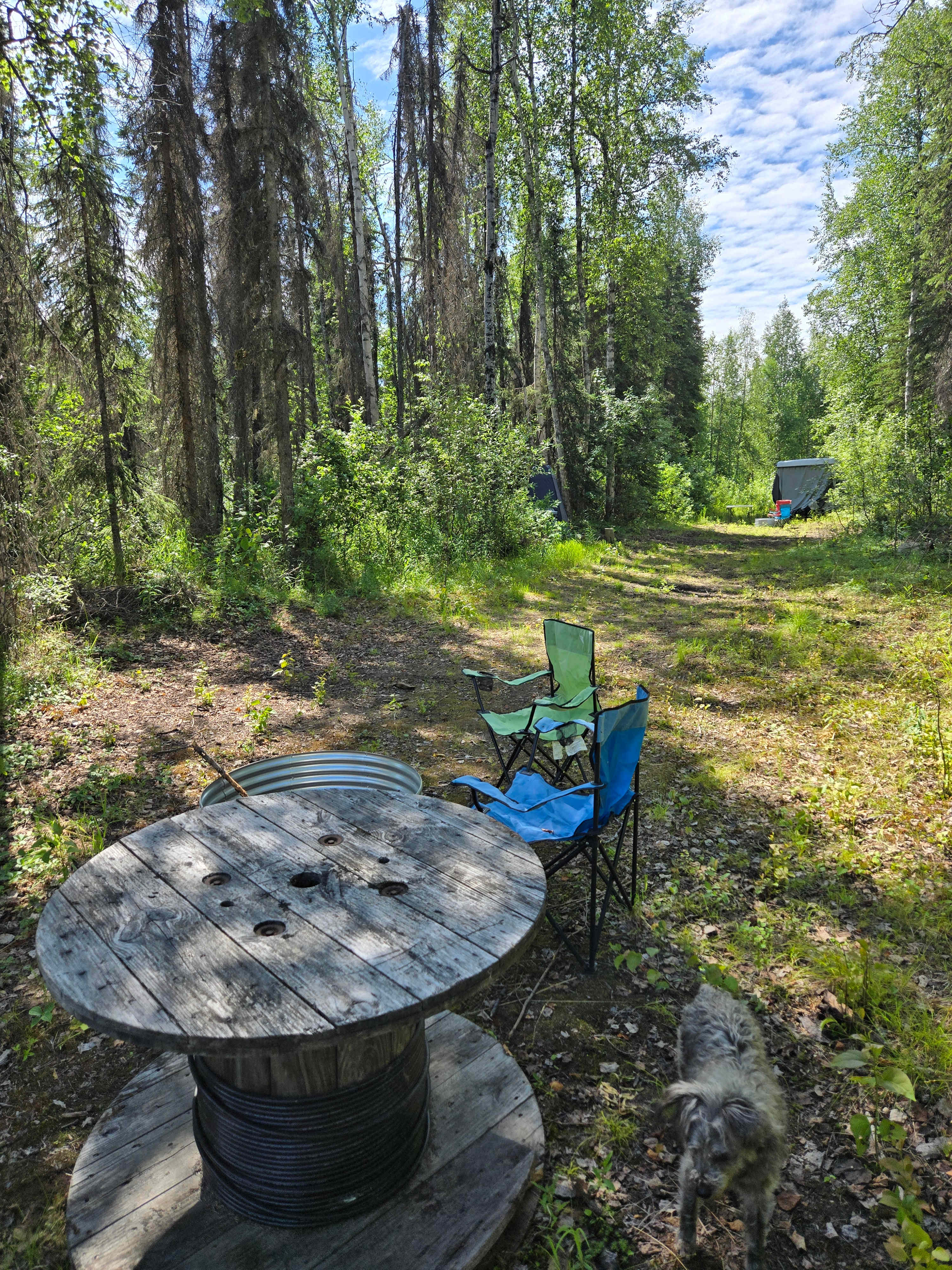 Willow AK Glamp & Camp
