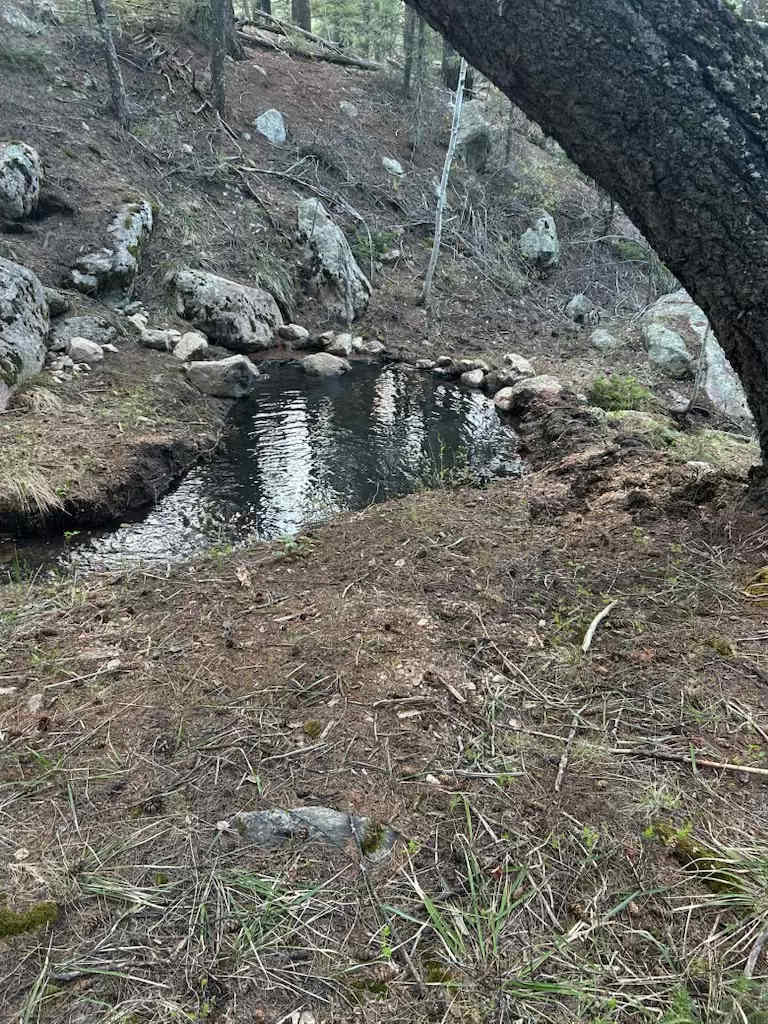 Picture of the site