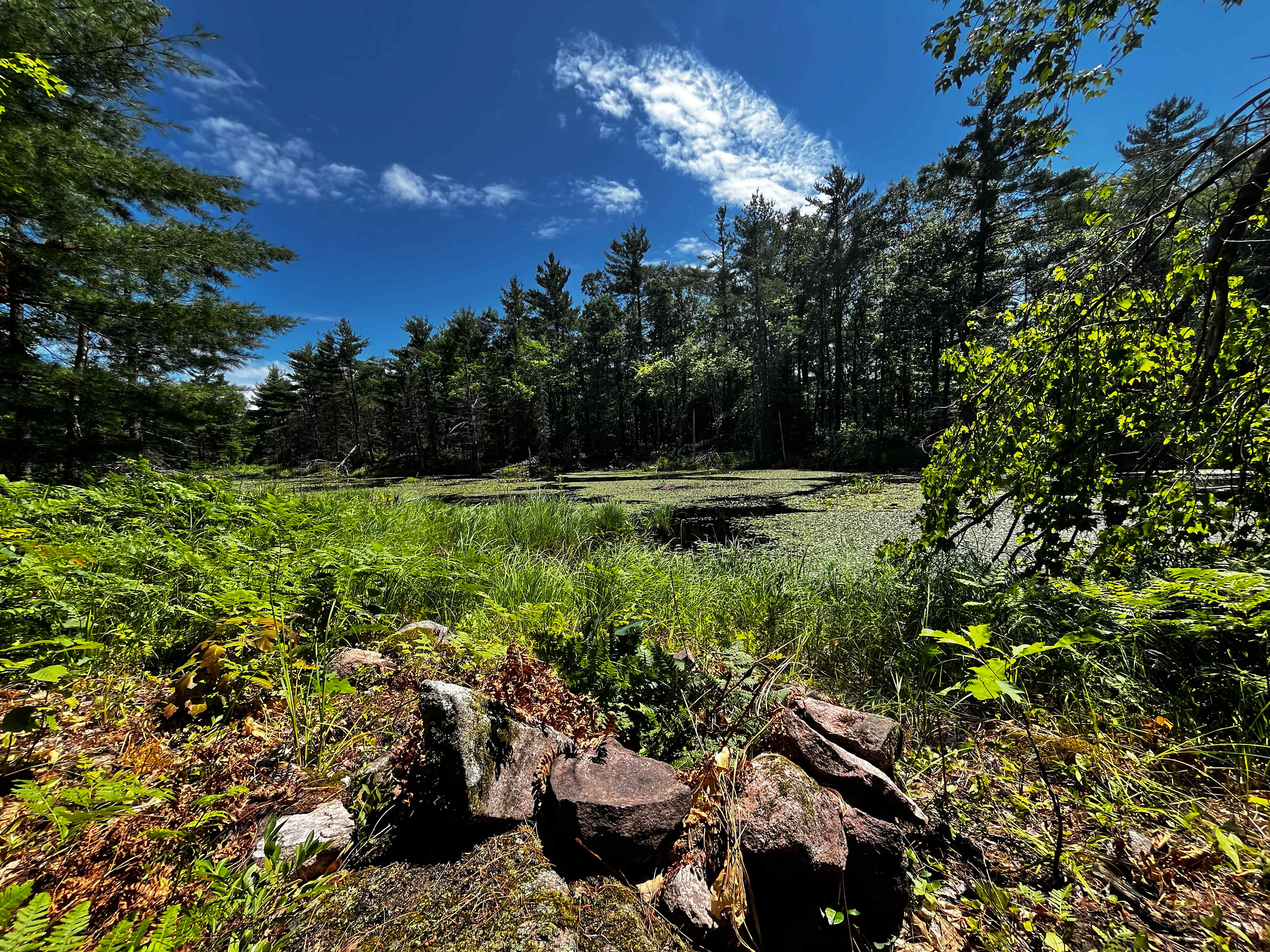 Picture of the site