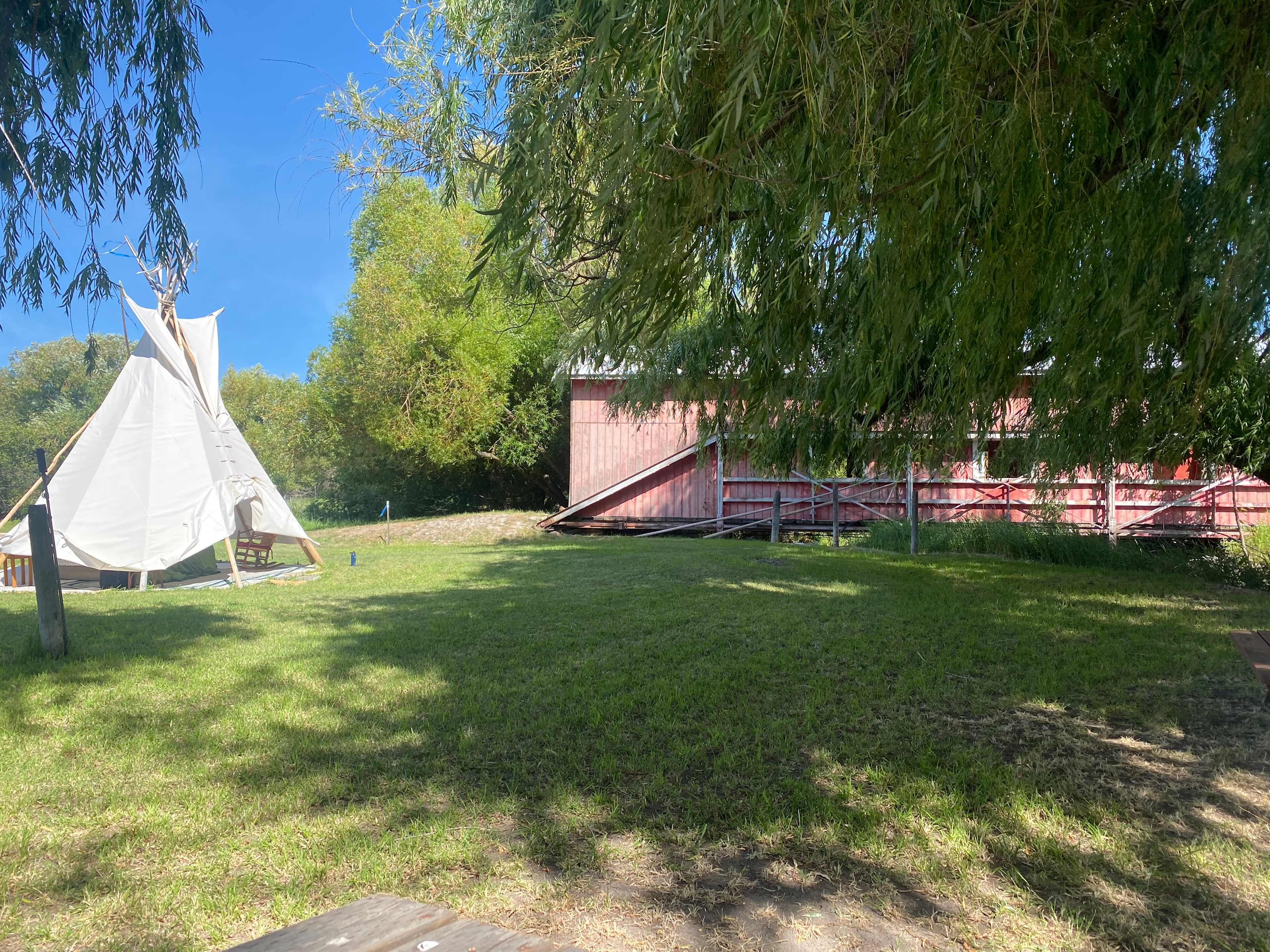 Picture of the site