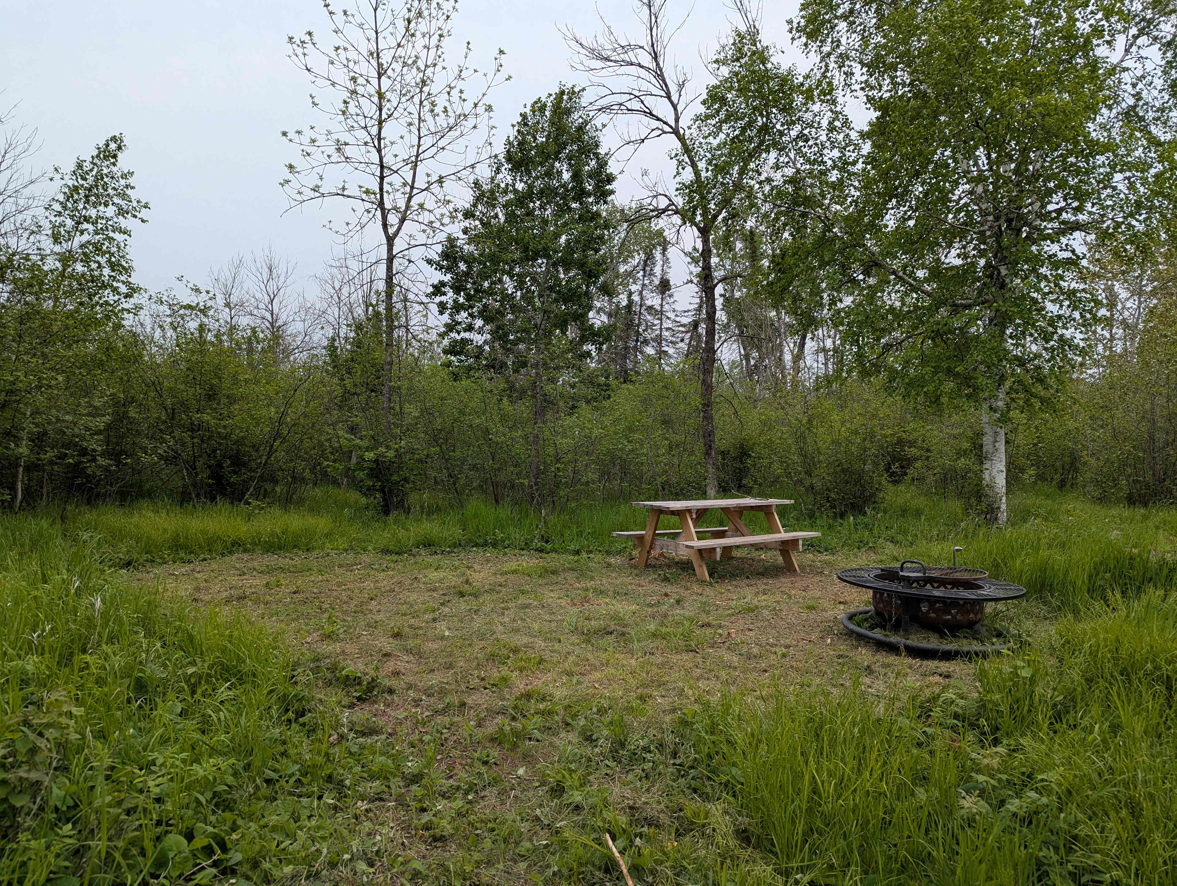 Picture of the site