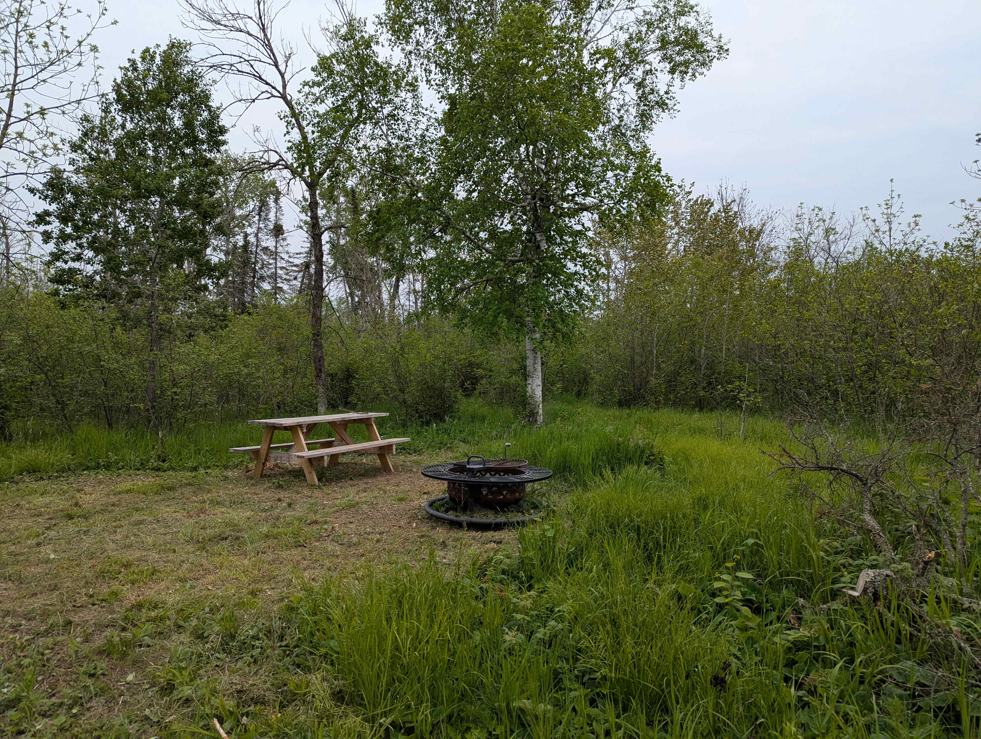 Picture of the site