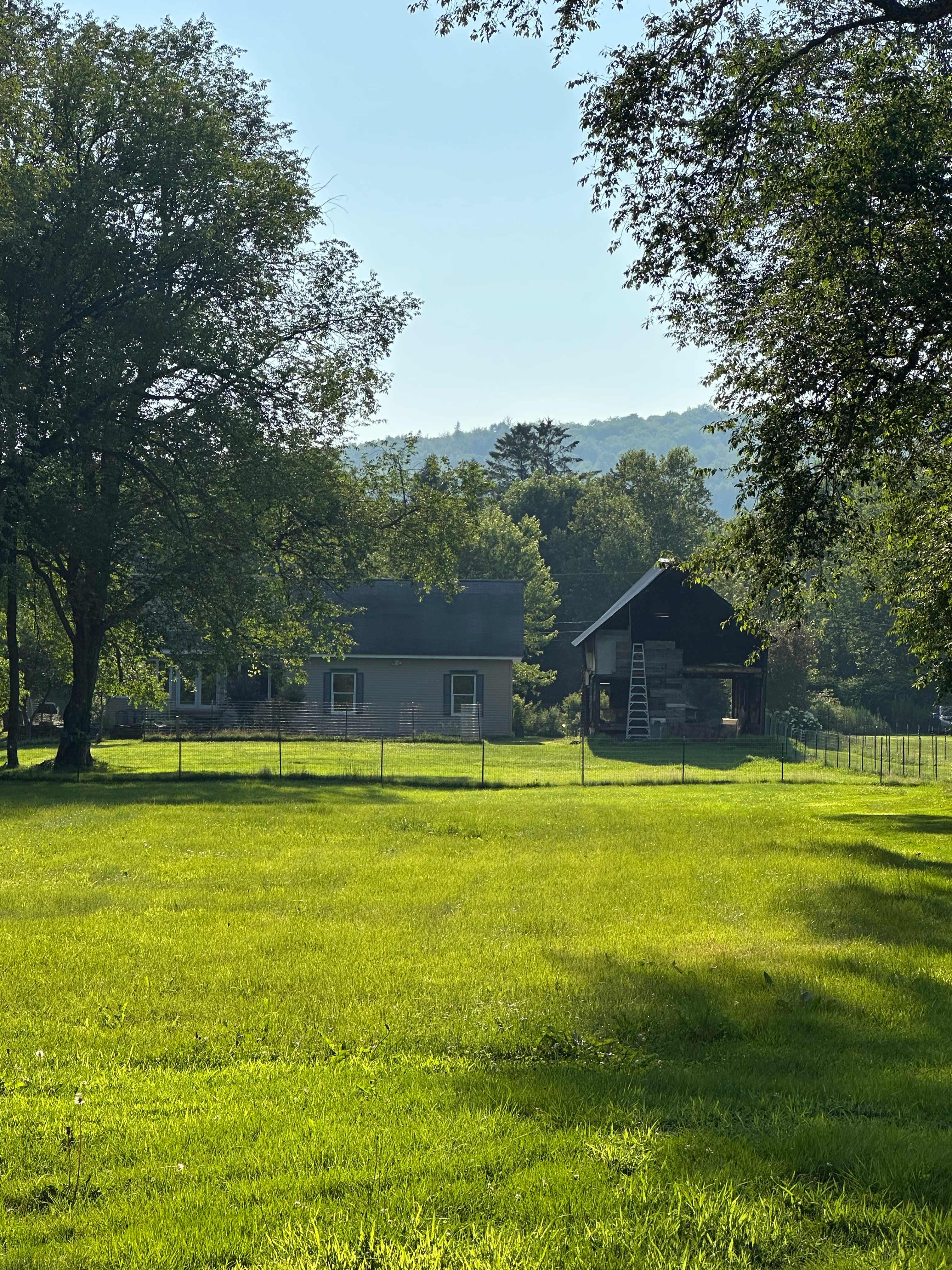 Picture of the site