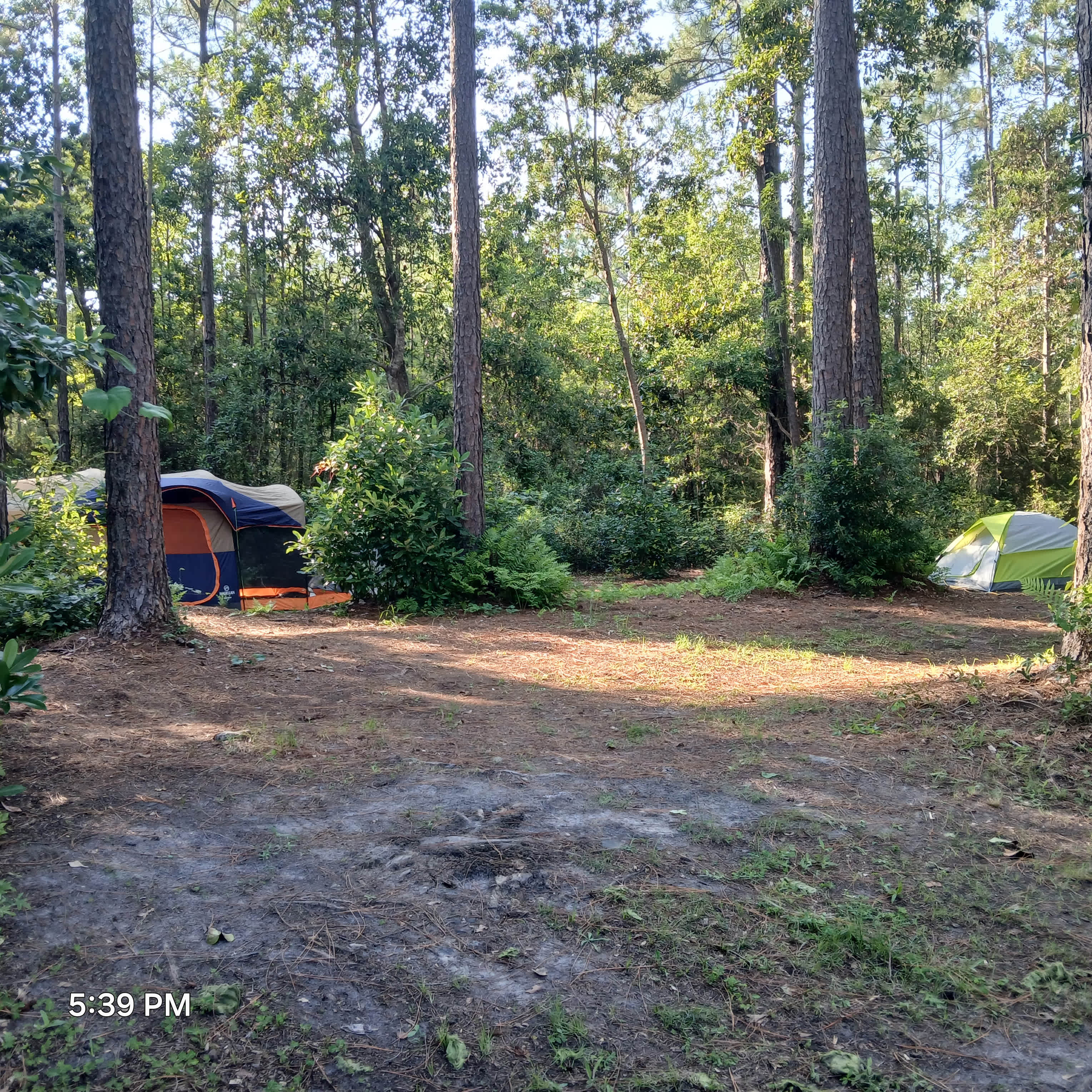 Picture of the site