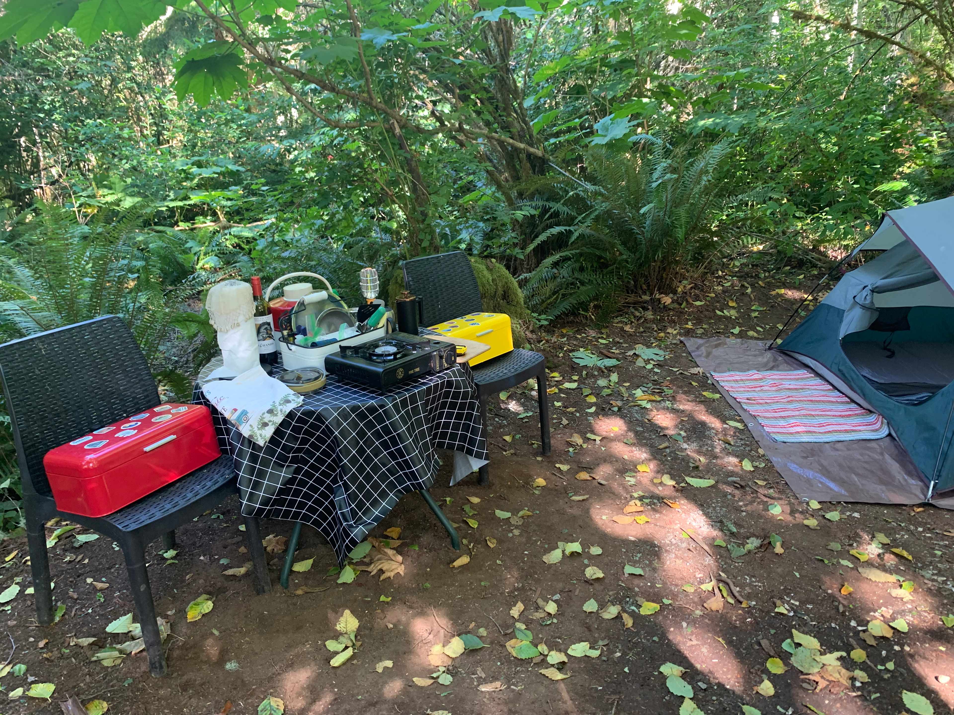Picture of the site