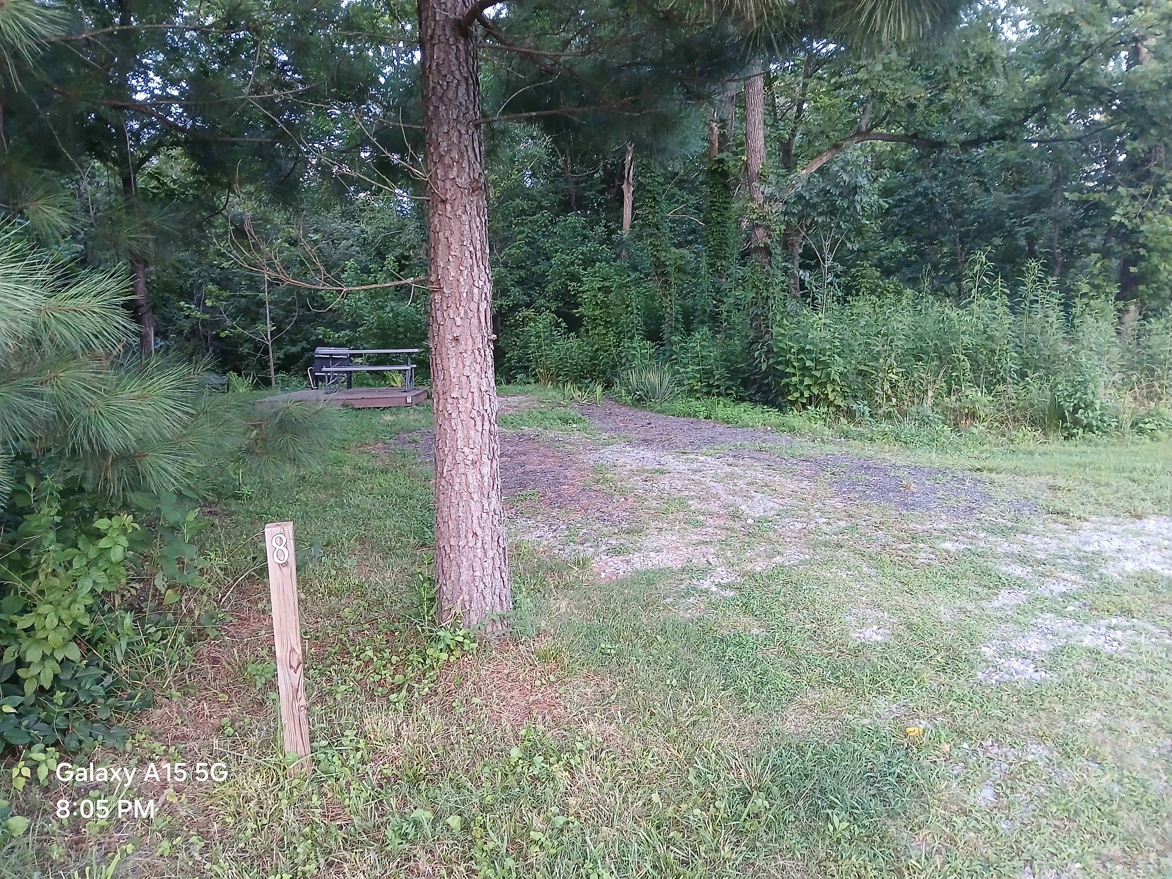 Picture of the site