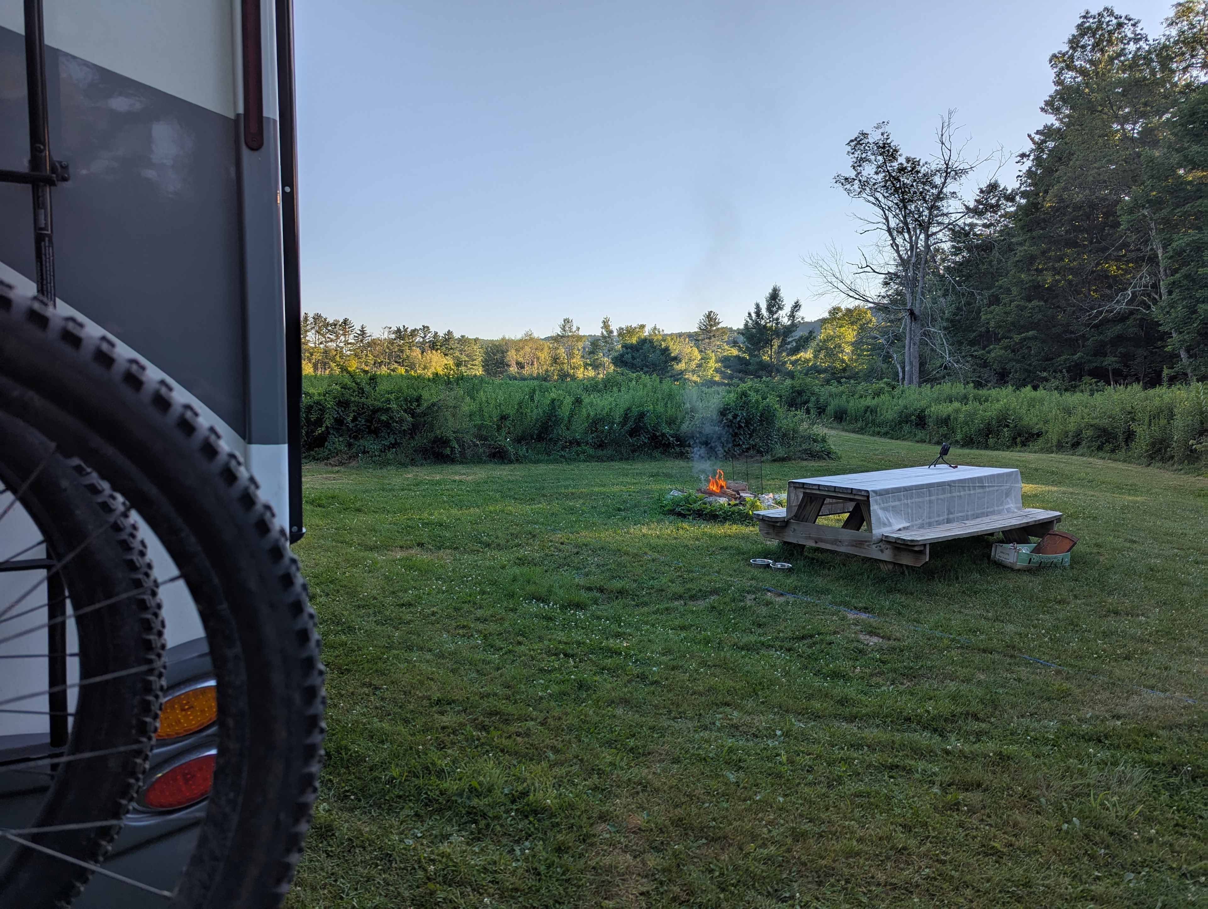 Picture of the site