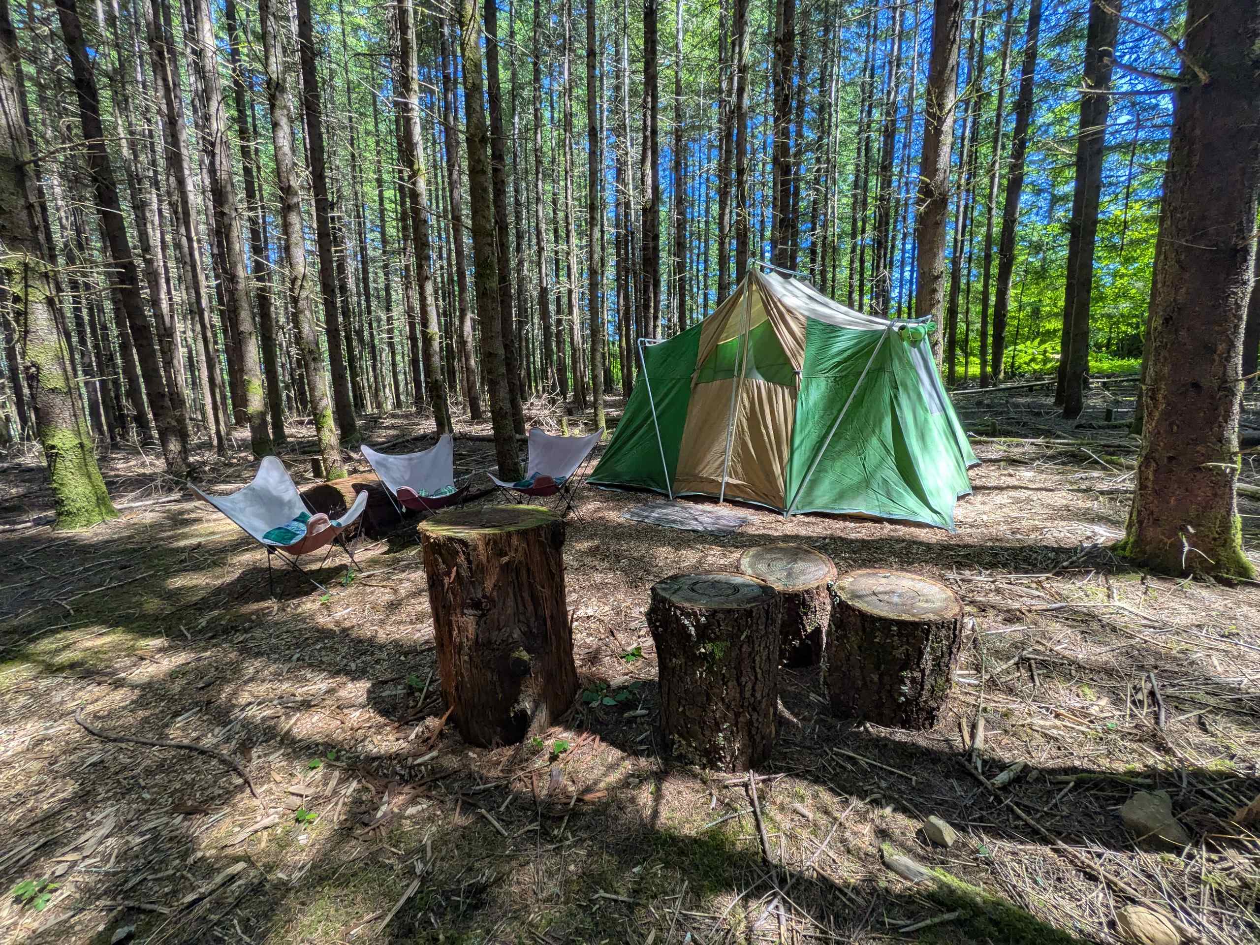 Picture of the site