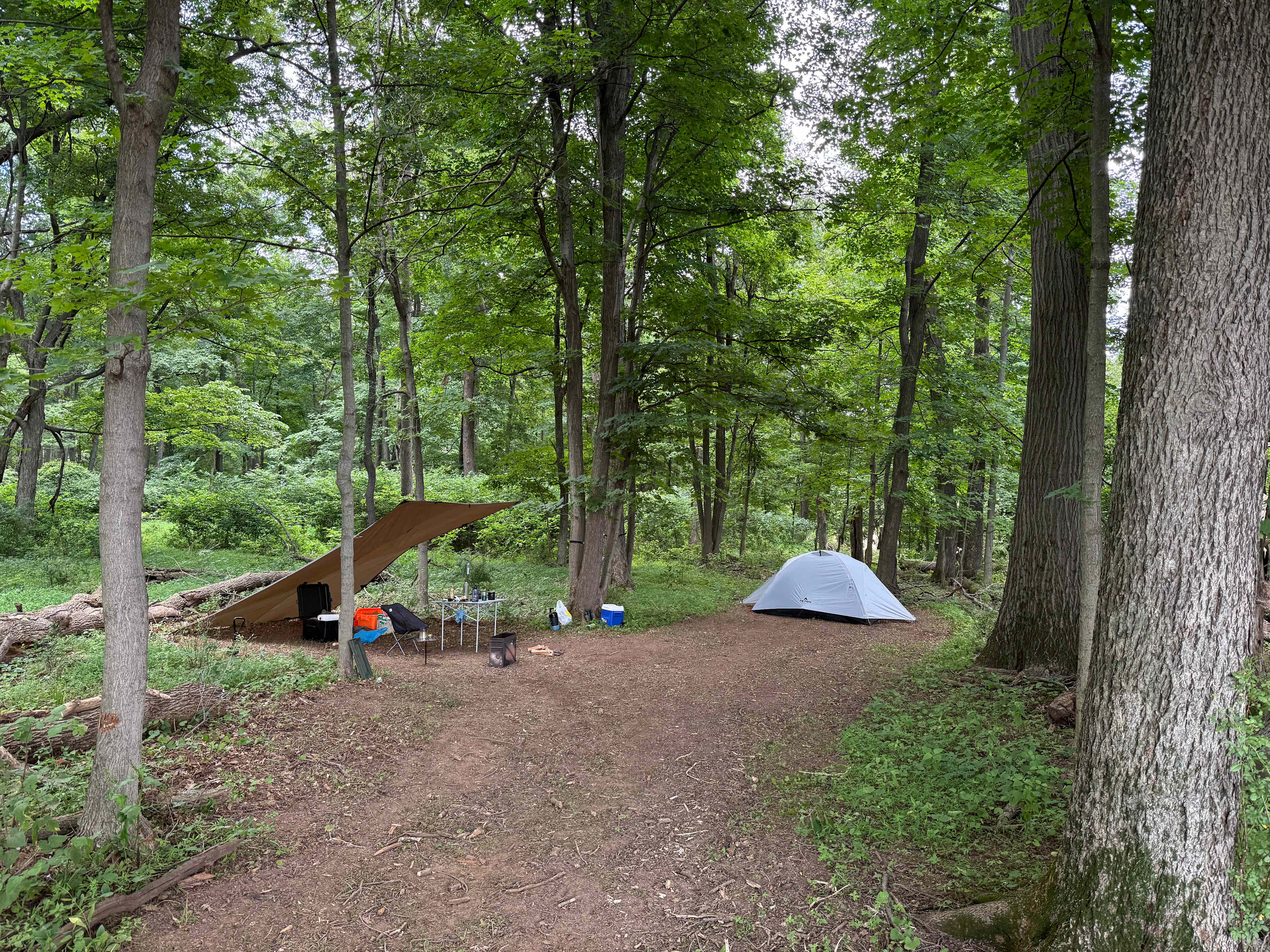 Picture of the site