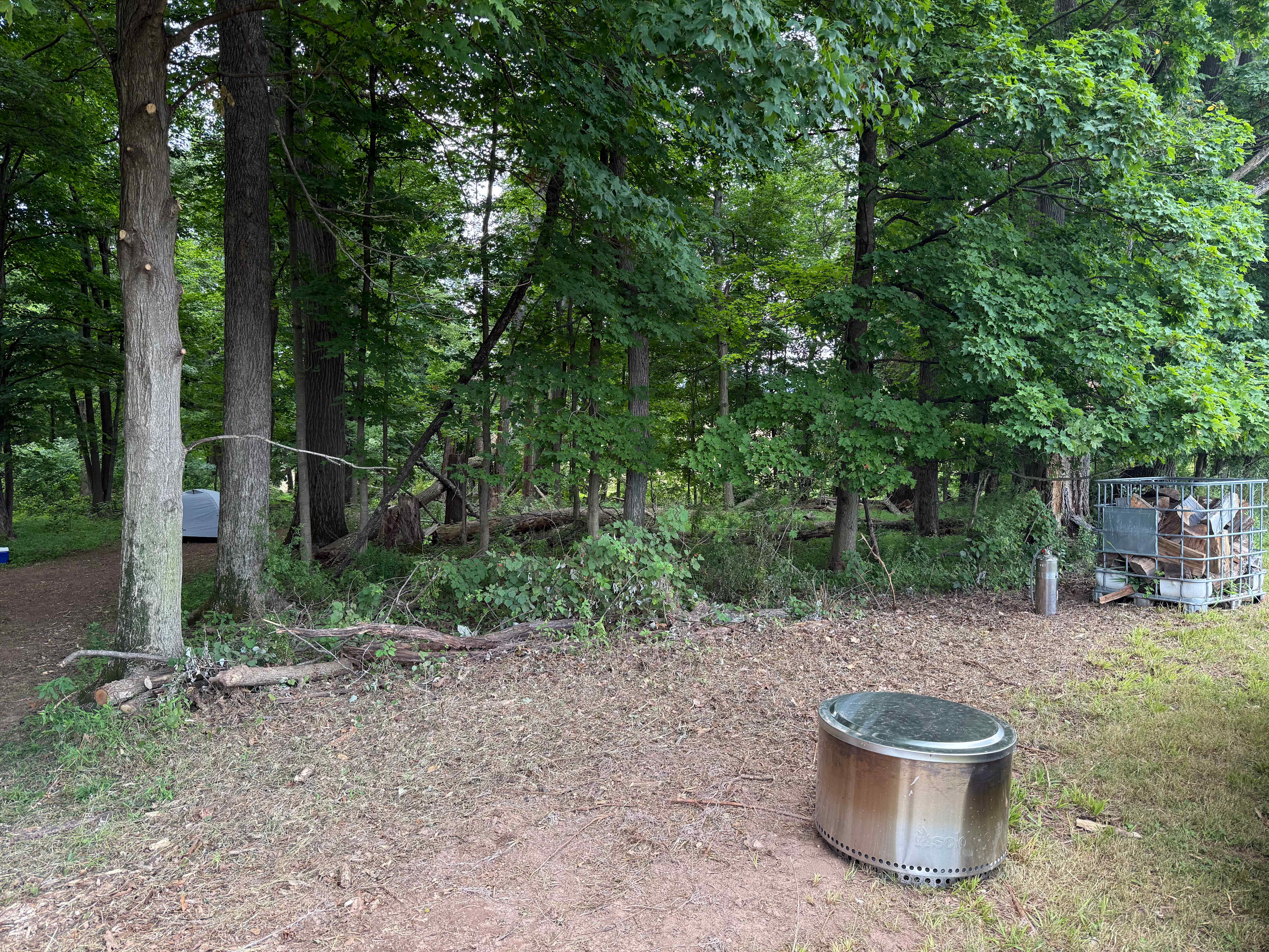 Picture of the site