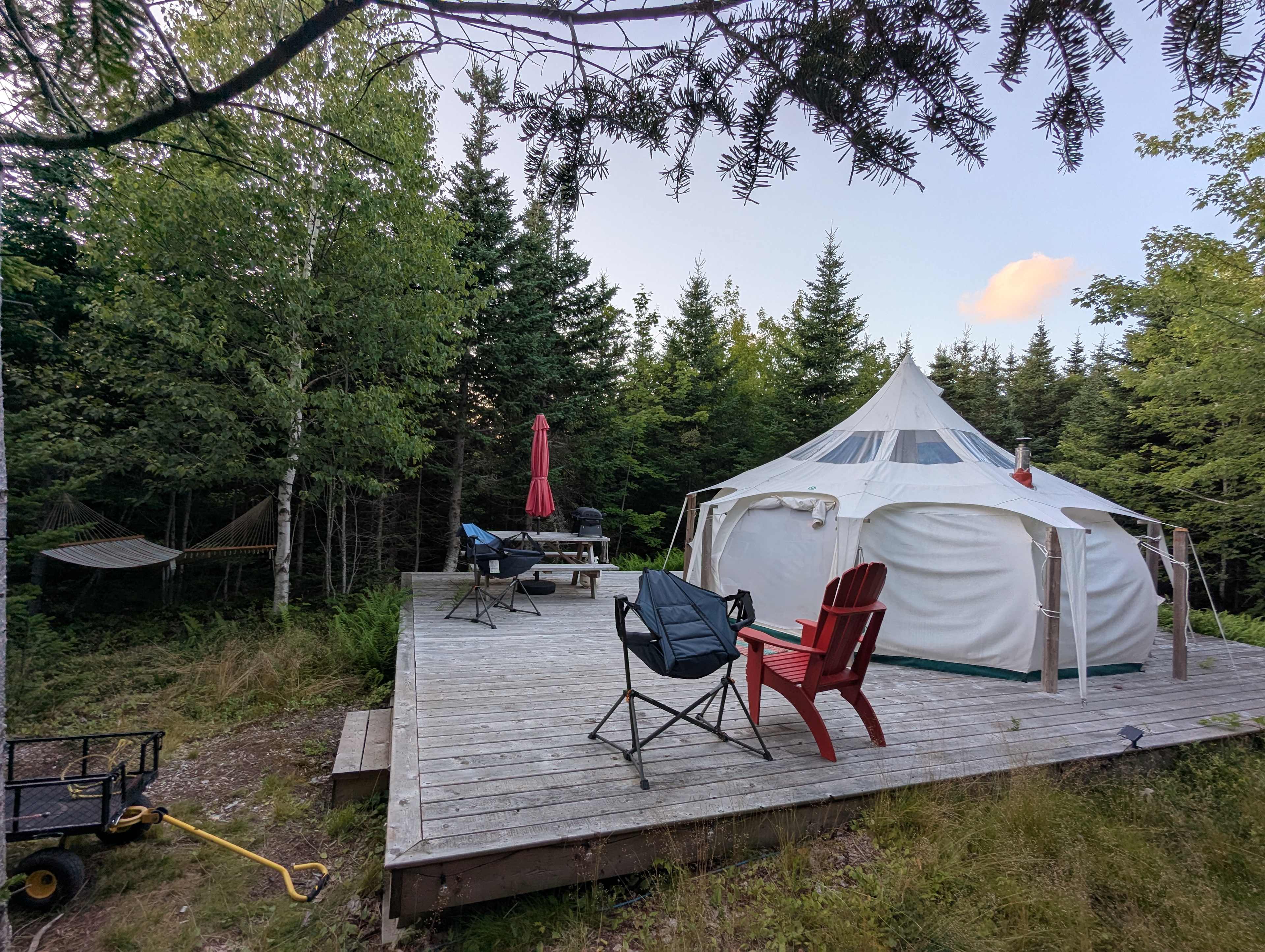 Picture of the site