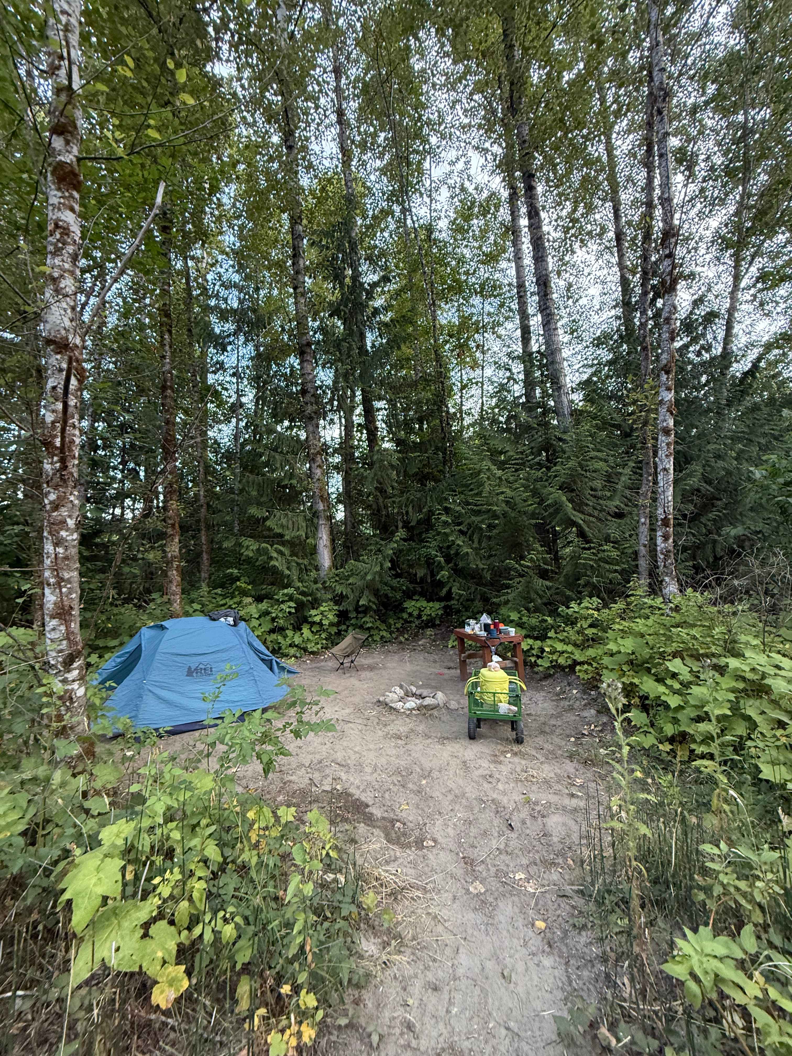 Picture of the site