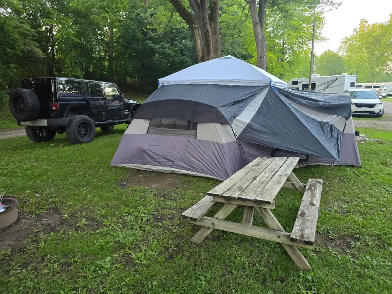 Picture of the site