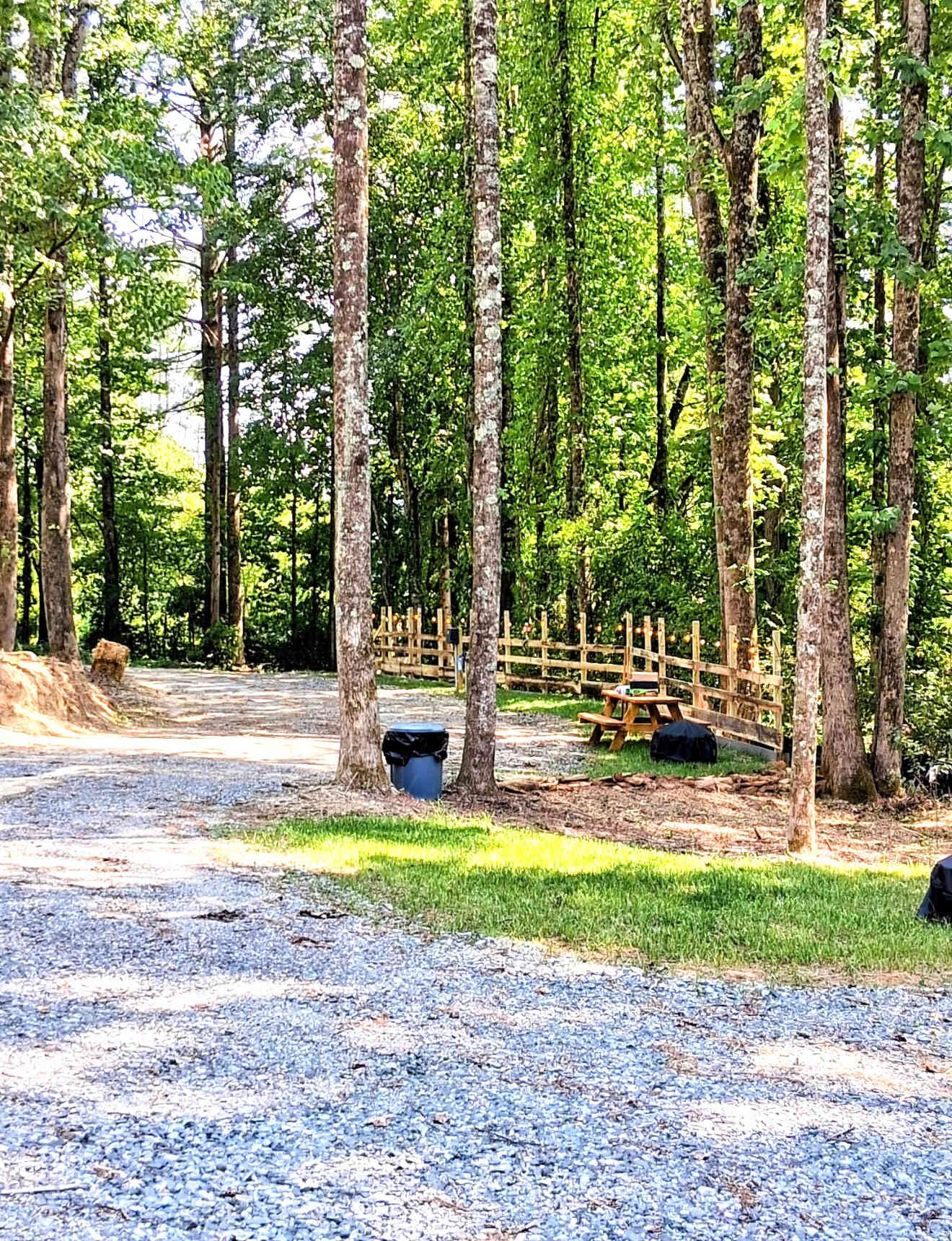 Picture of the site