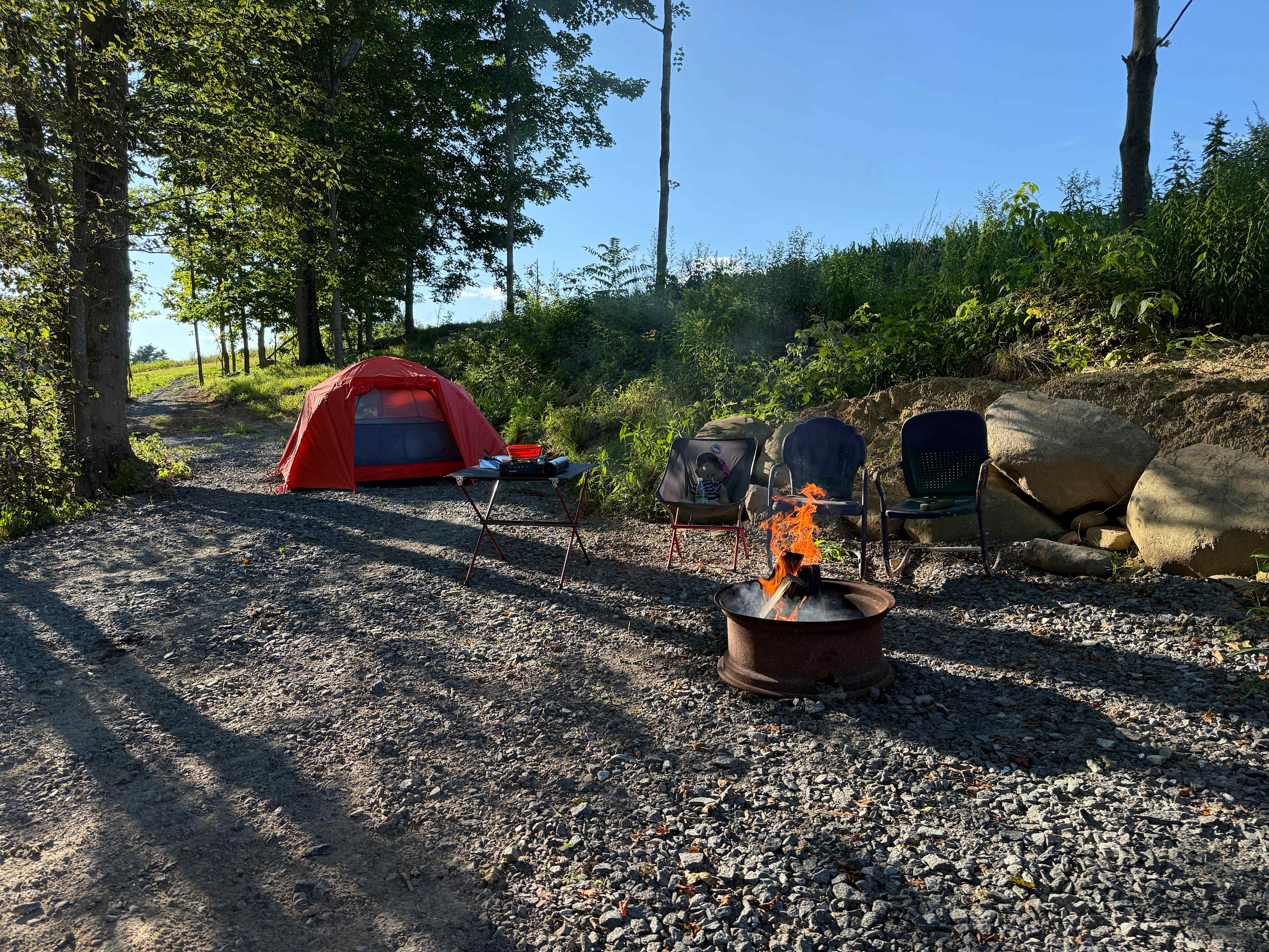 Picture of the site