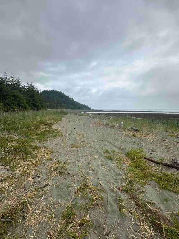 Picture of the site