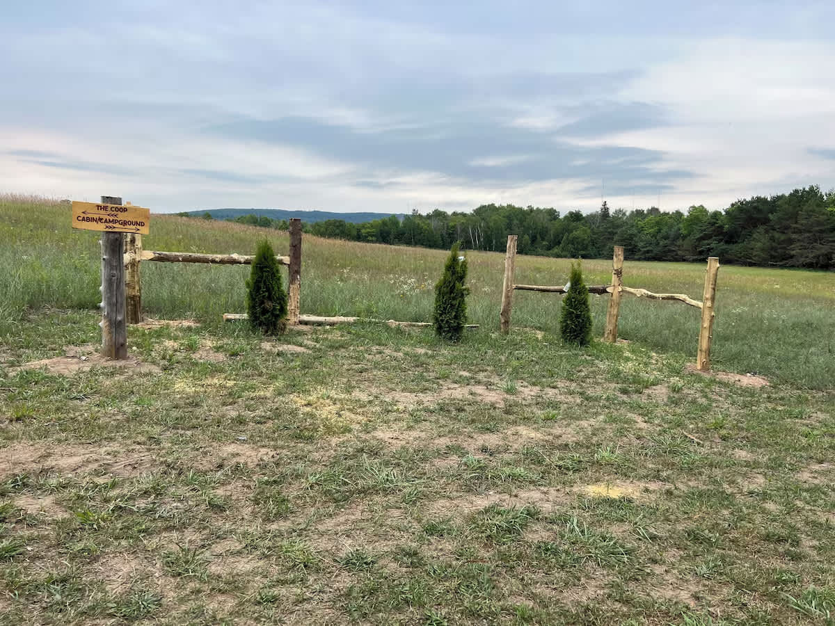 Picture of the site