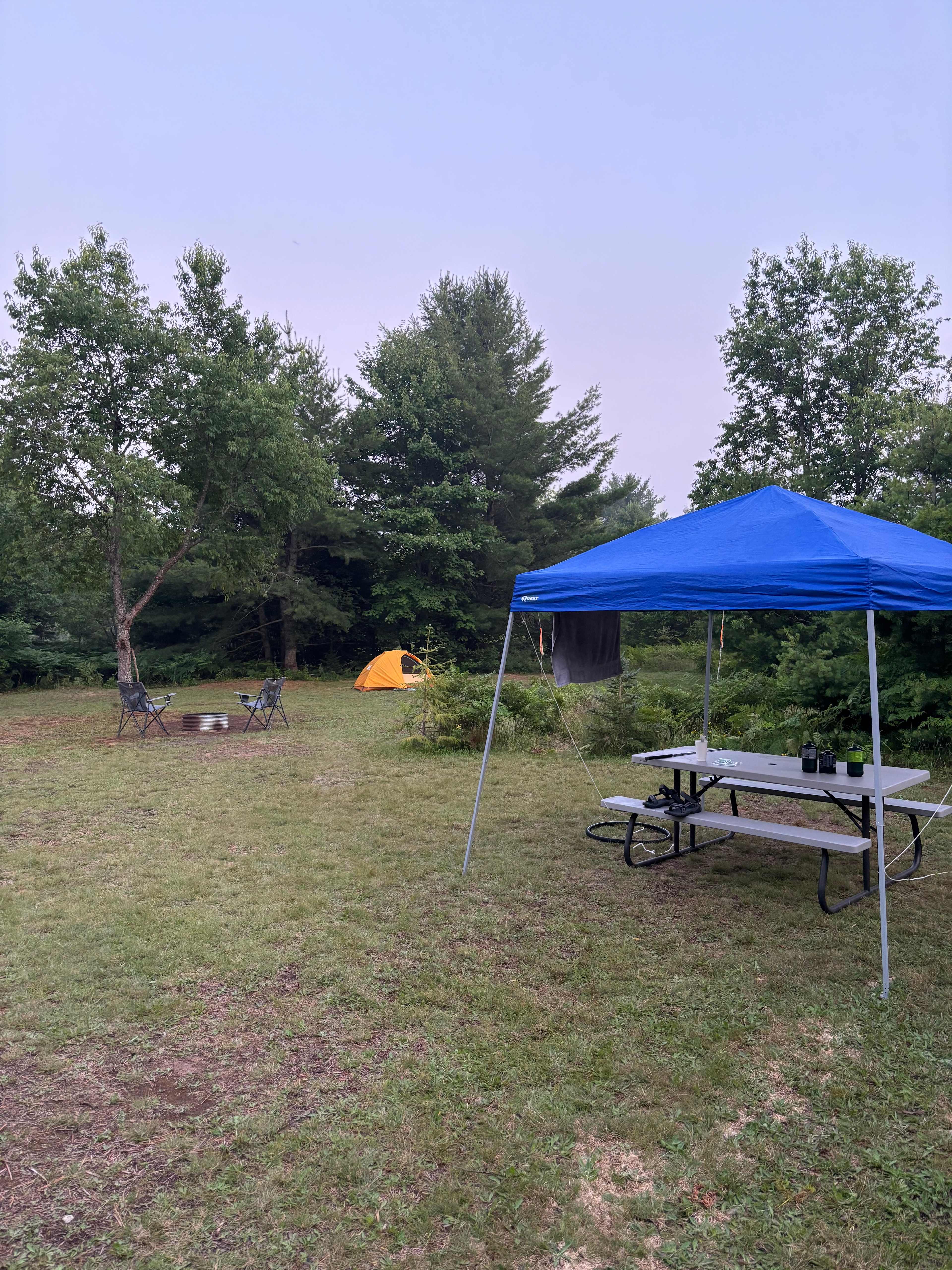 Picture of the site
