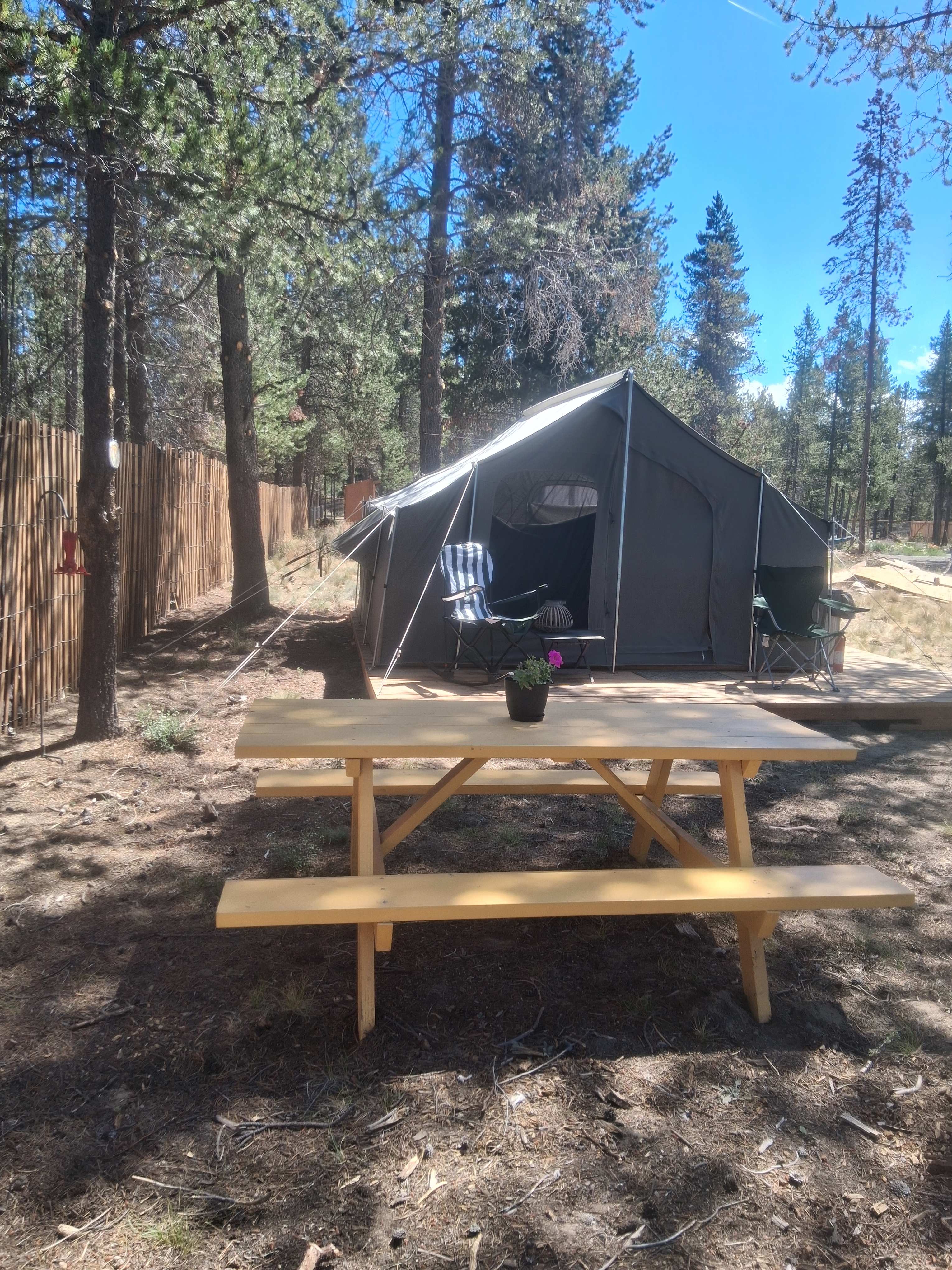 Picture of the site