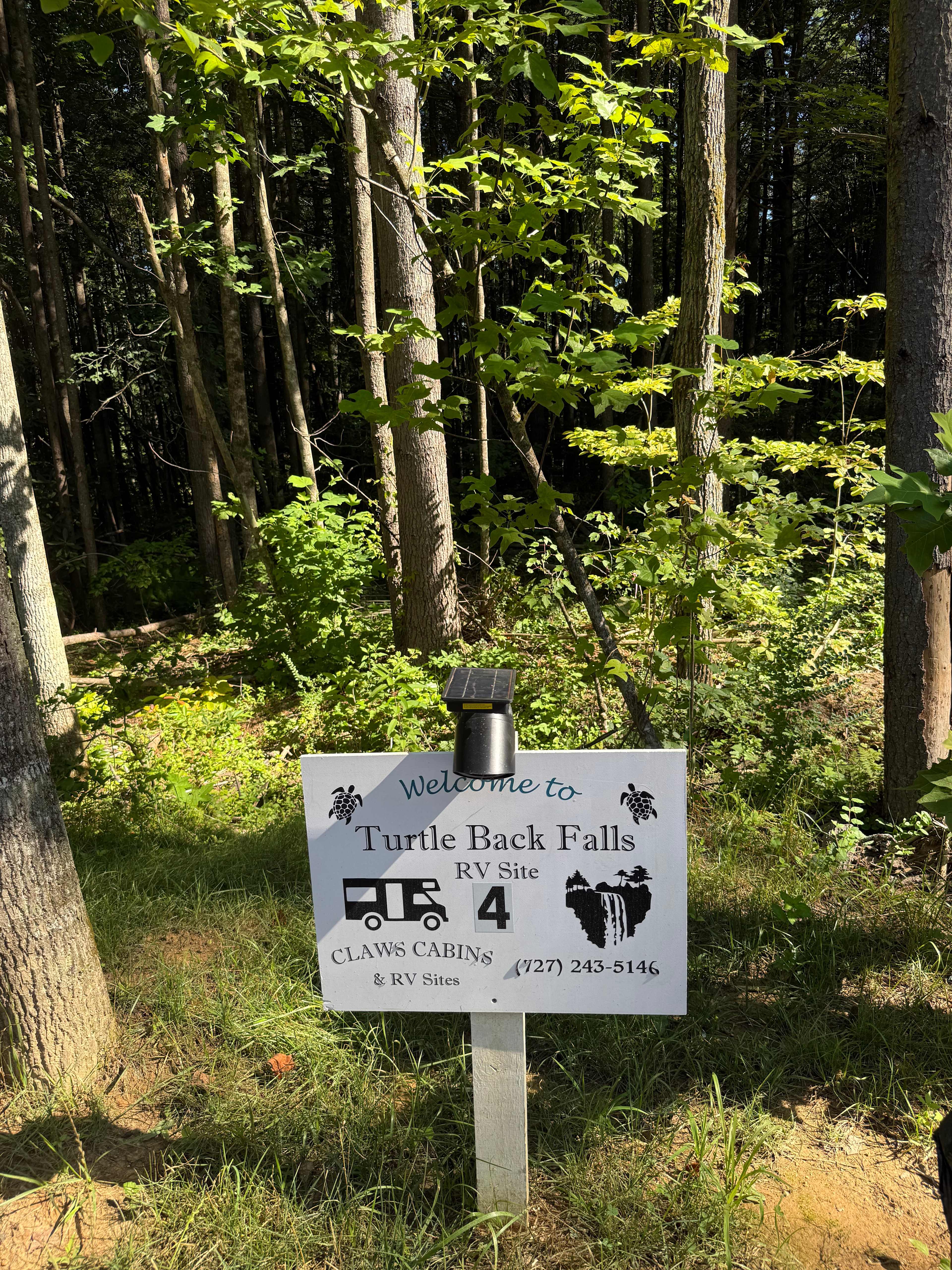 Picture of the site
