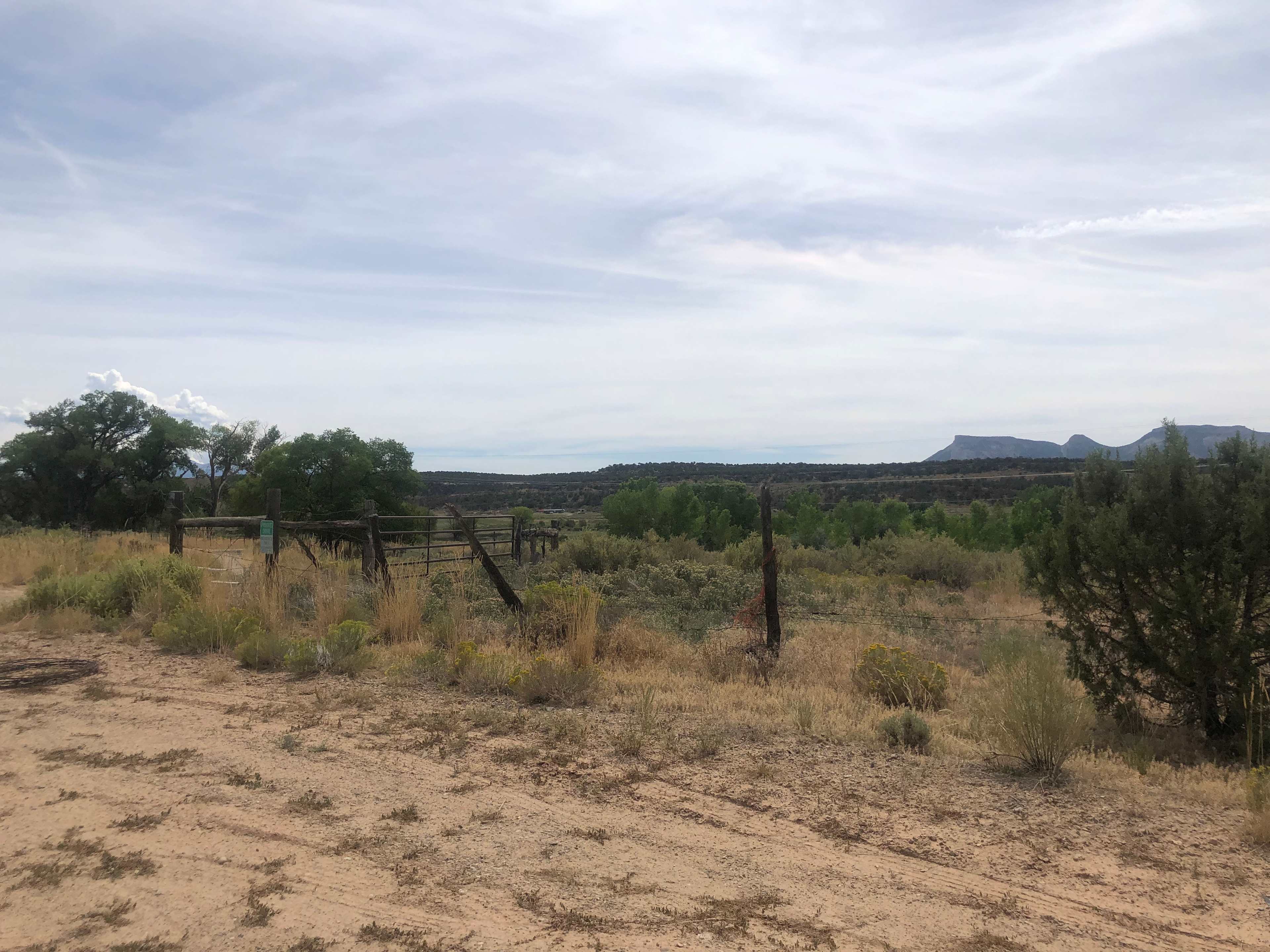 Picture of the site